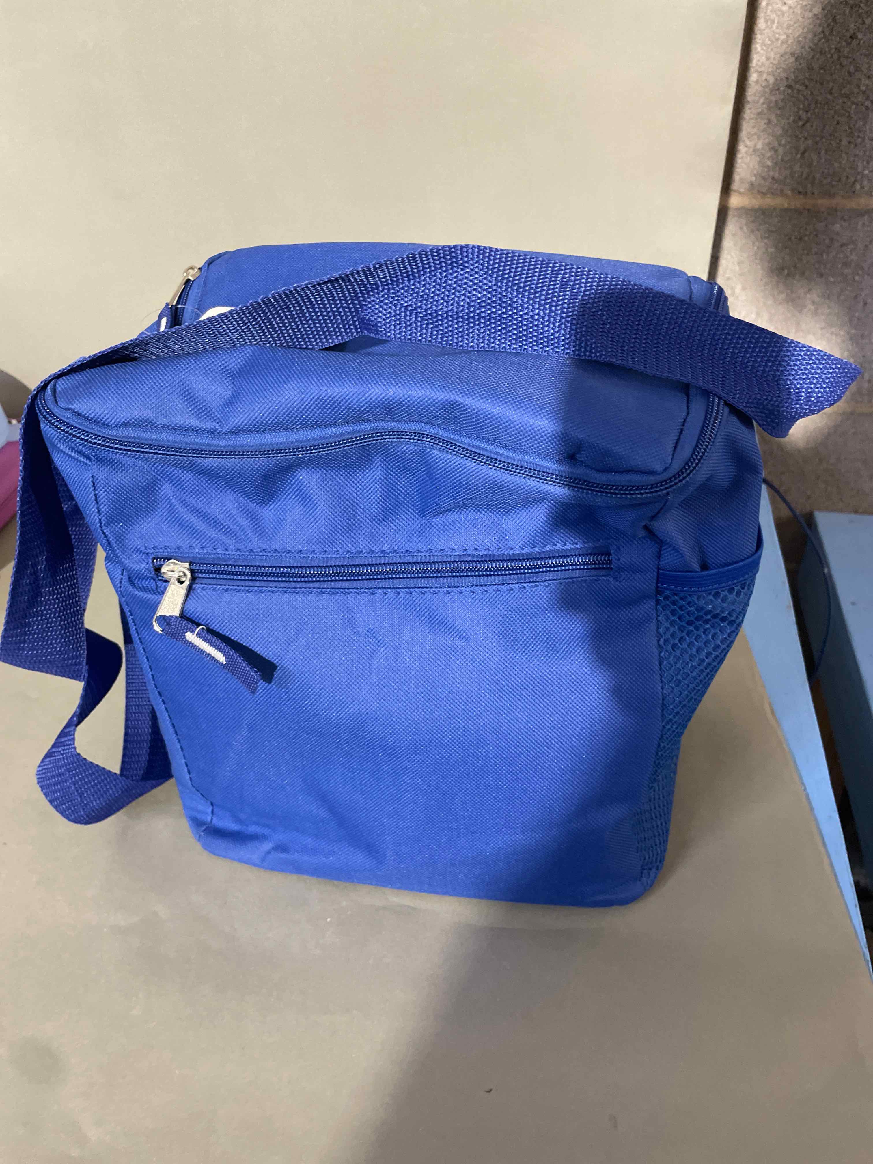 Greenbrier International Blue Insulated Bag