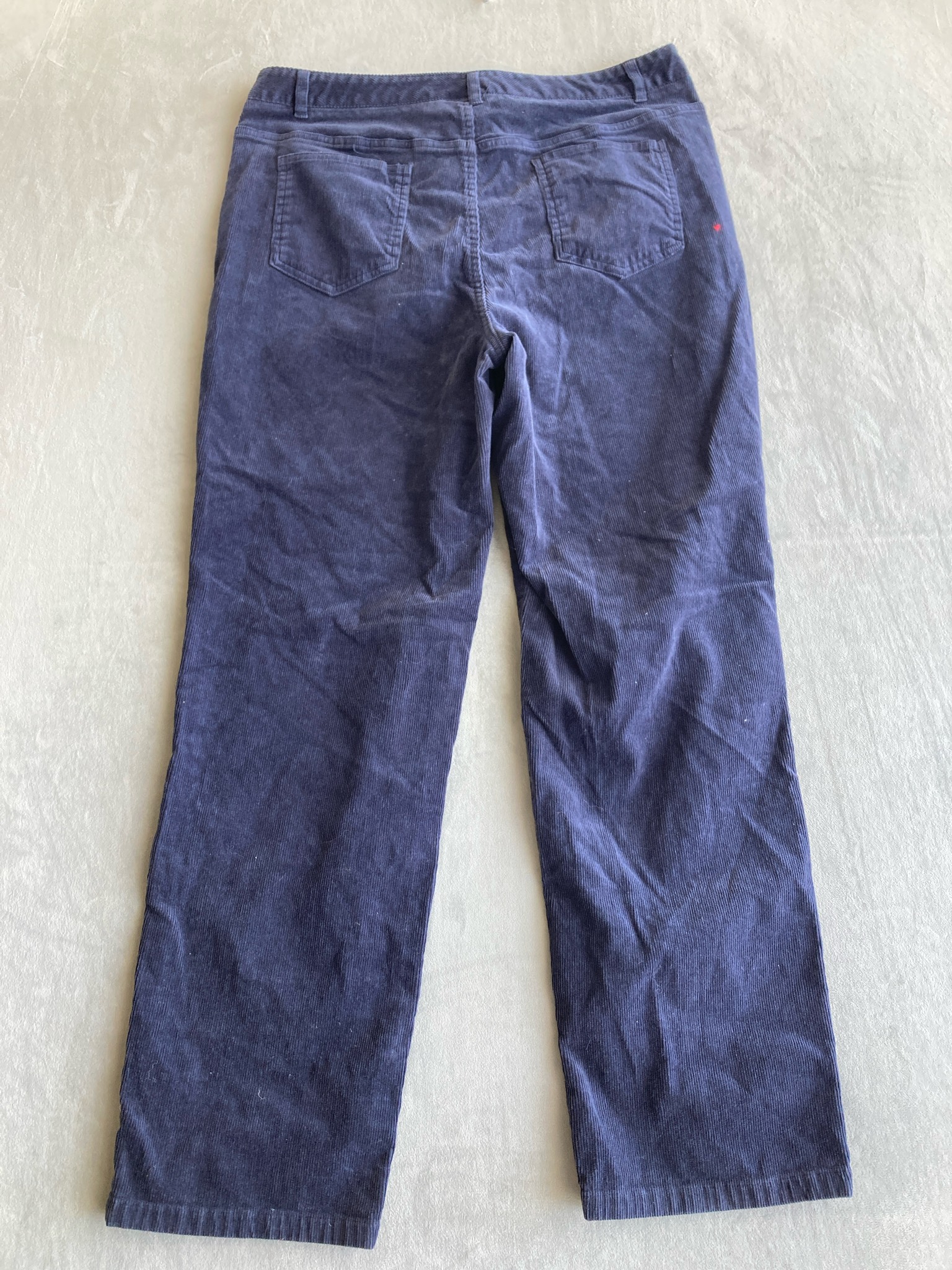 Appleseed's Navy Cotton Spandex Pants 14