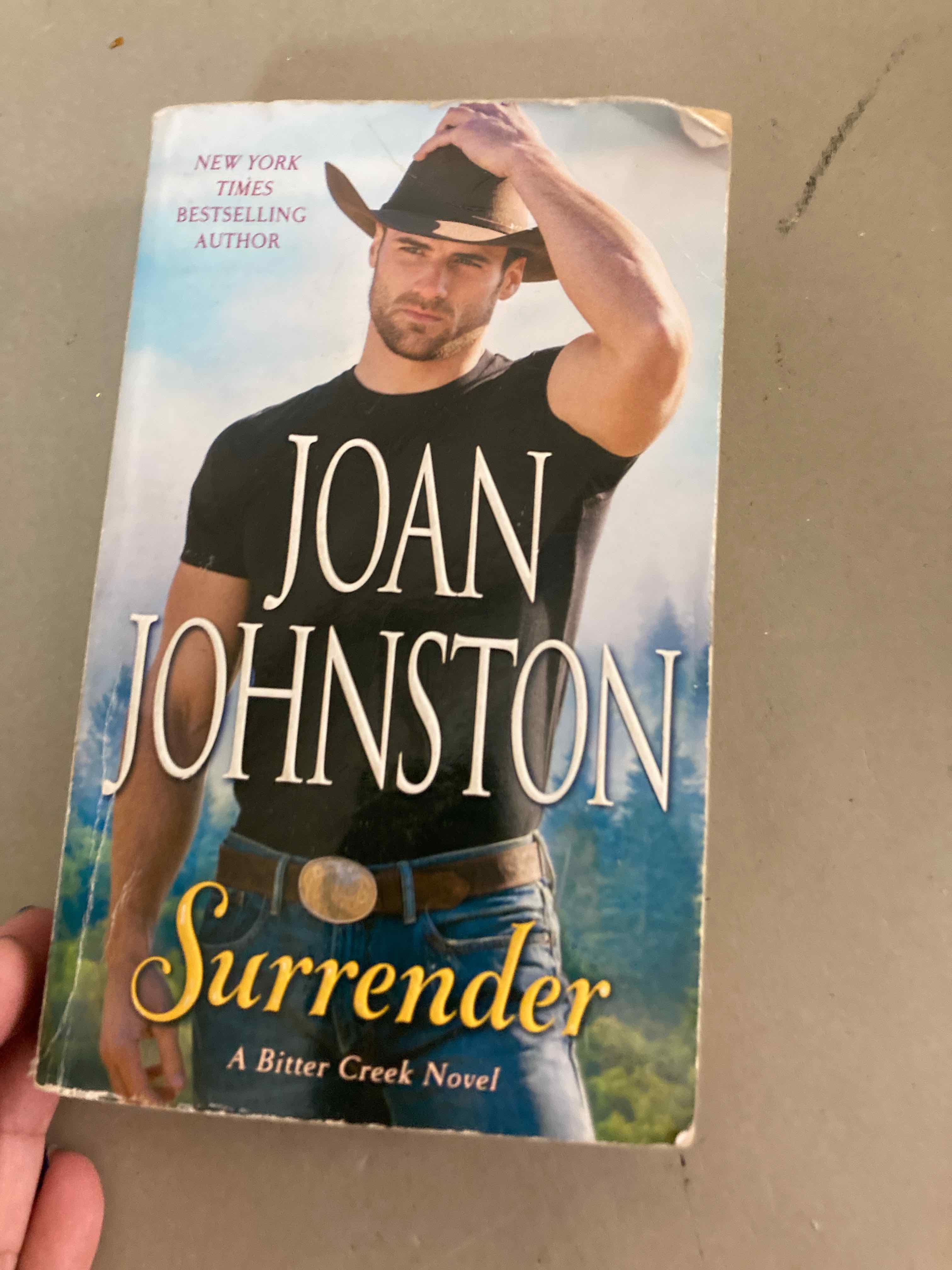 Joan Johnston Surrender Paperback Book