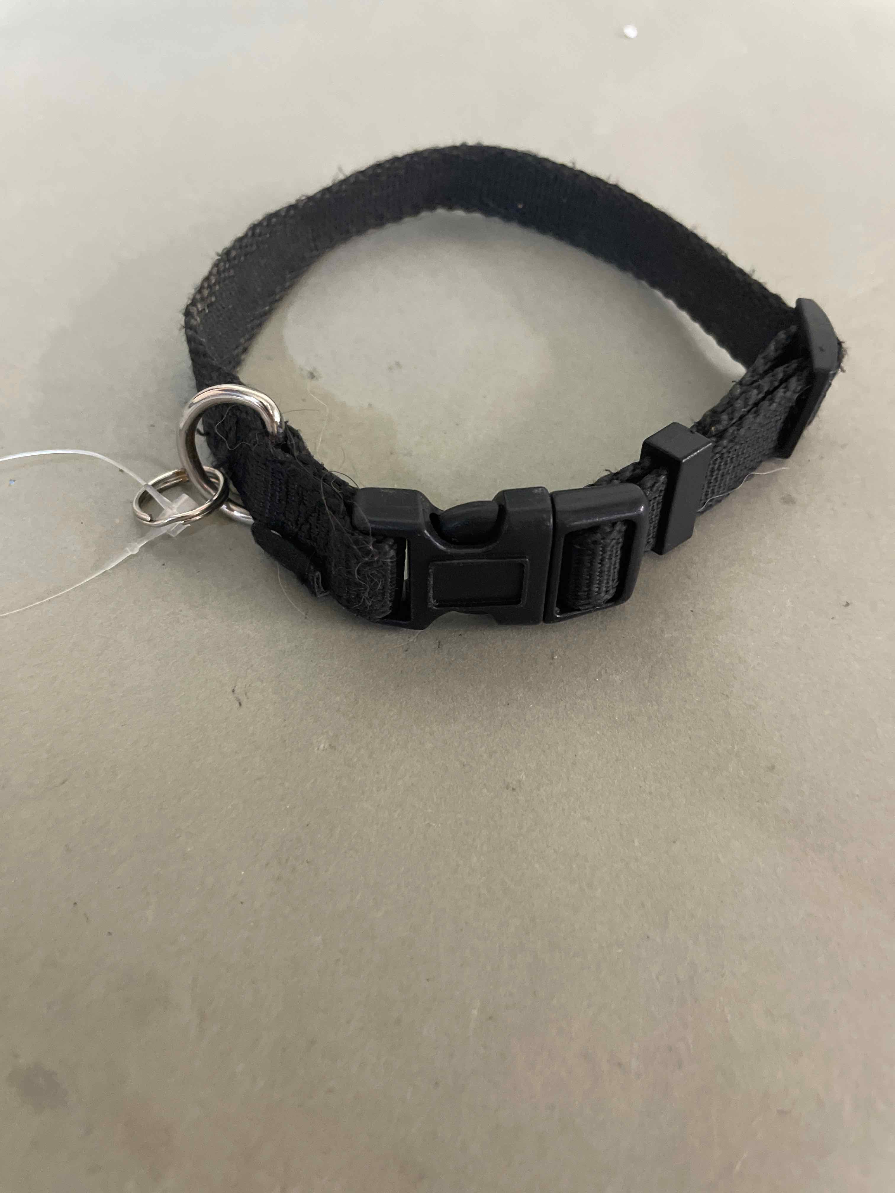 Black Nylon Adjustable Strap
