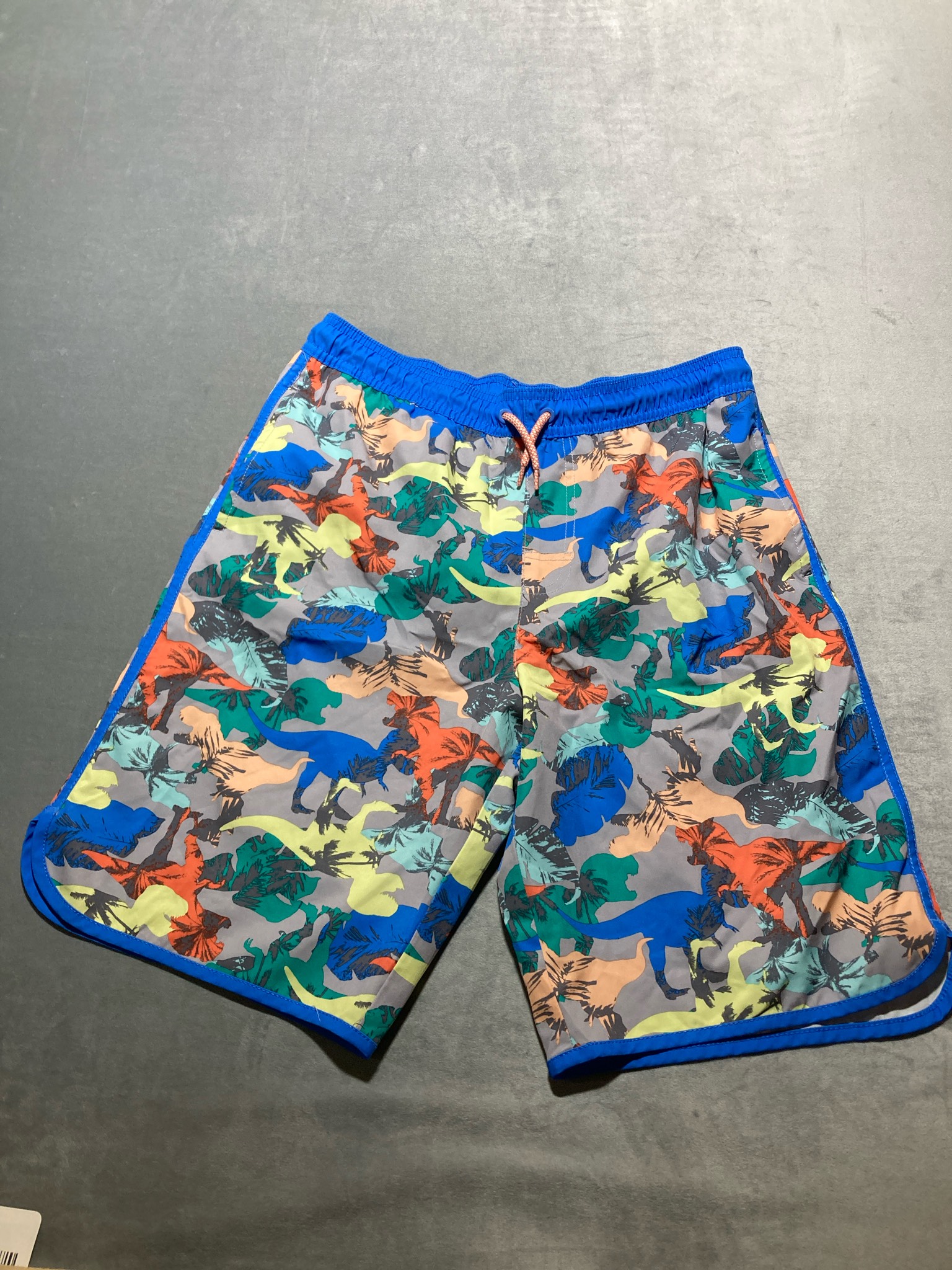 Wonder Nation multi color dino swim shorts size 18
