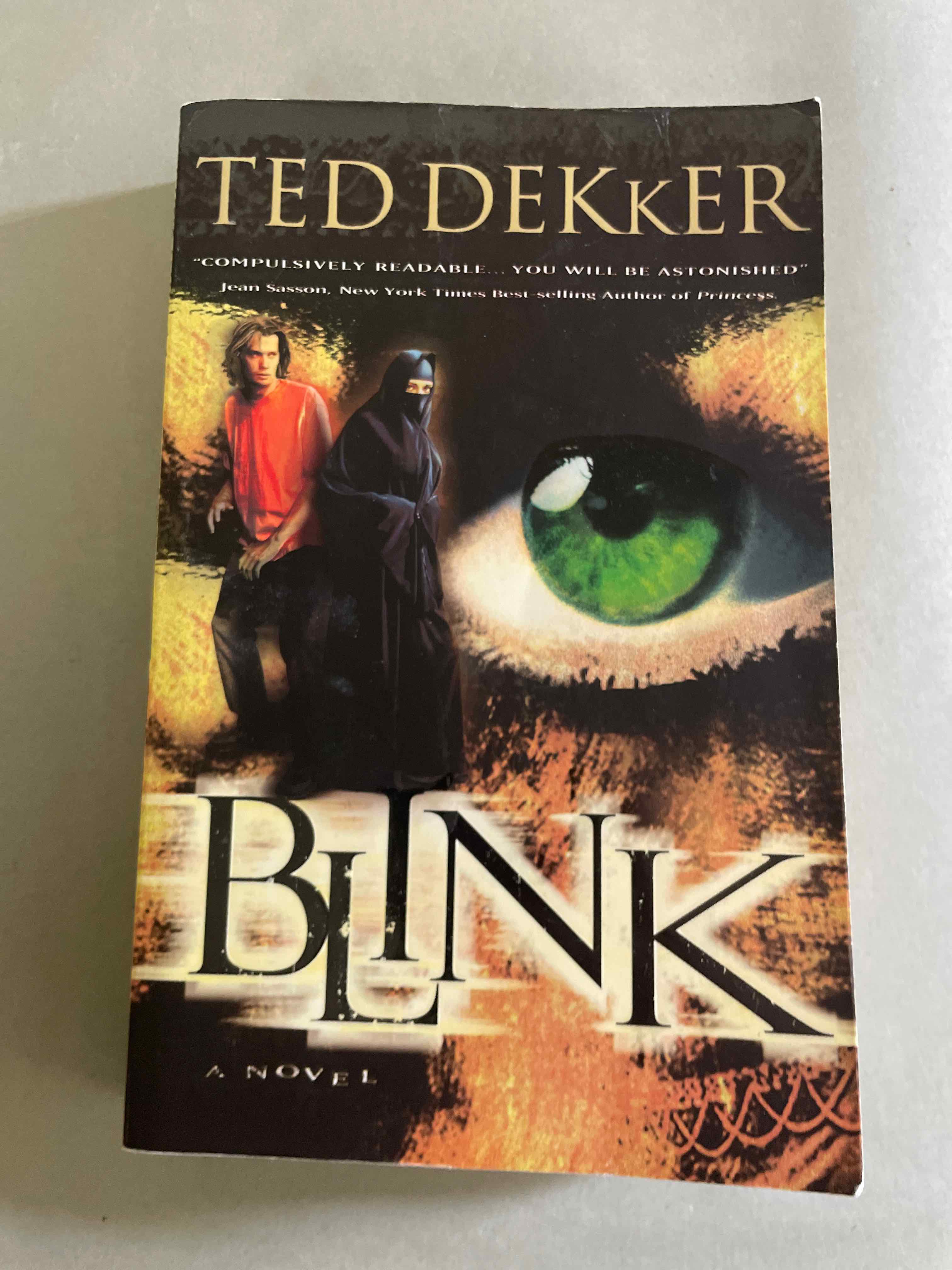 Ted Dekker Blink Novel