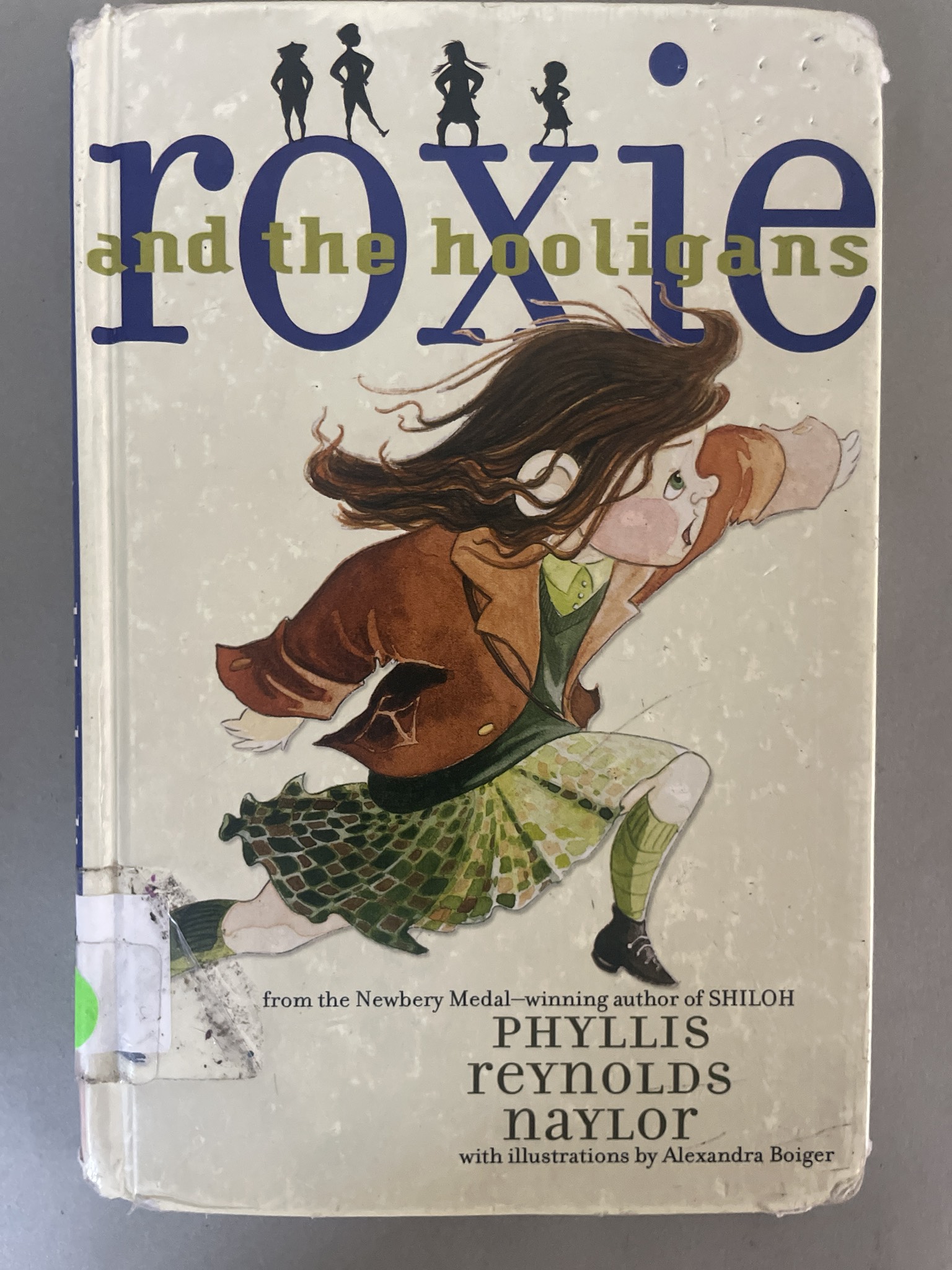 Blue Green Hardcover Children's Book