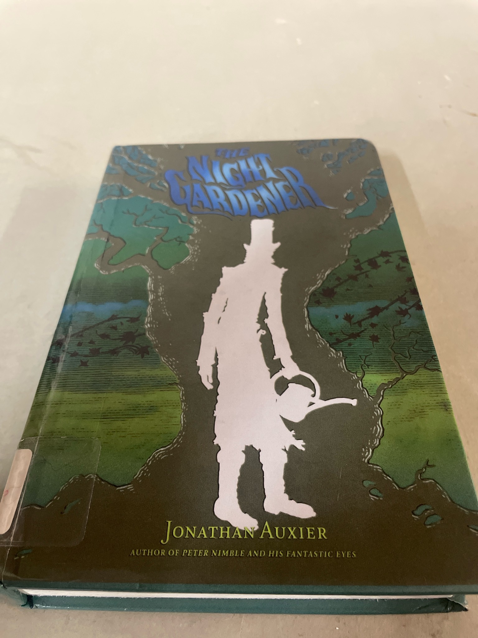 Green Illustrated Hardcover Children's Book