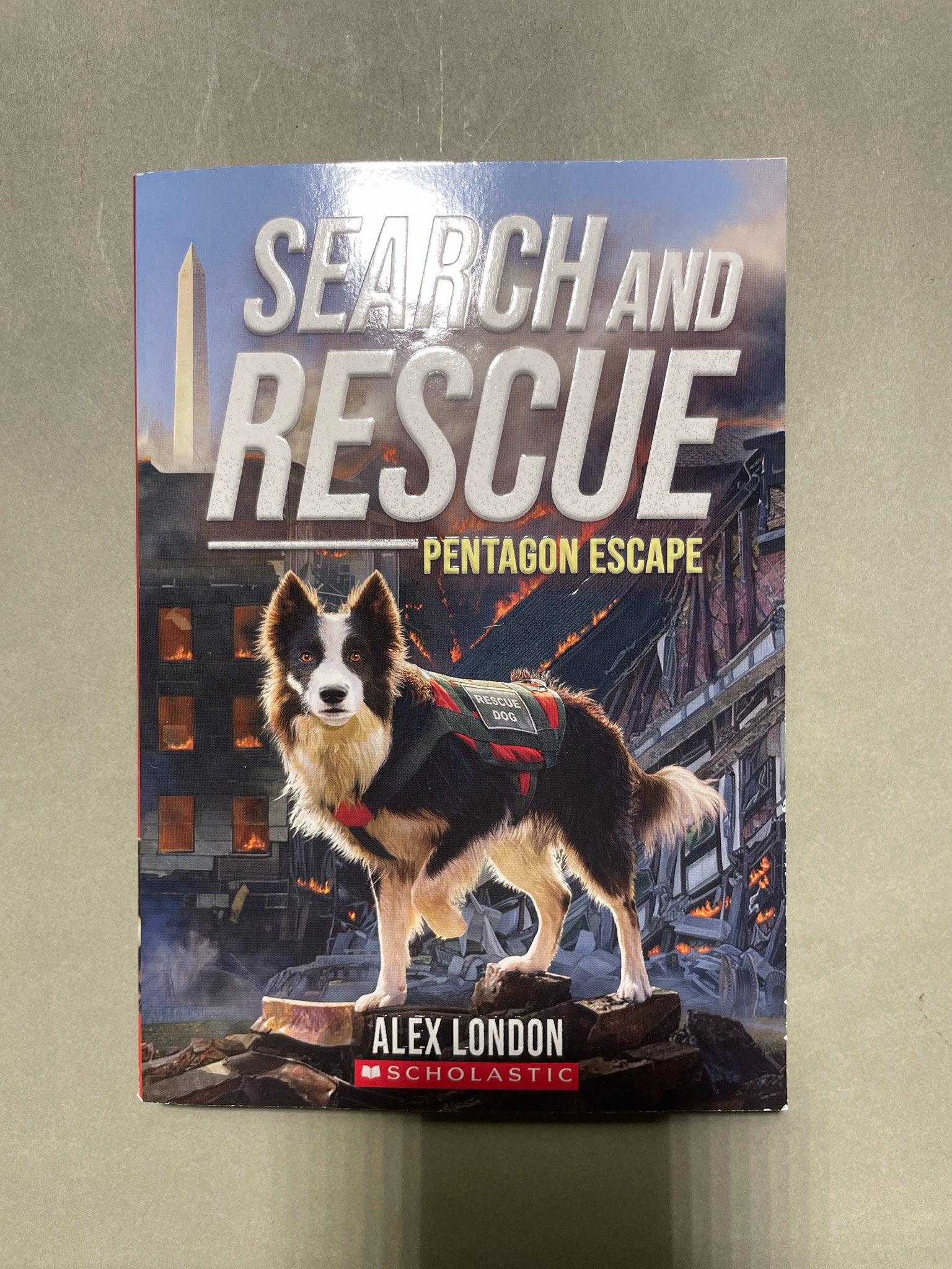 Scholastic Search and Rescue: Pentagon Escape Book