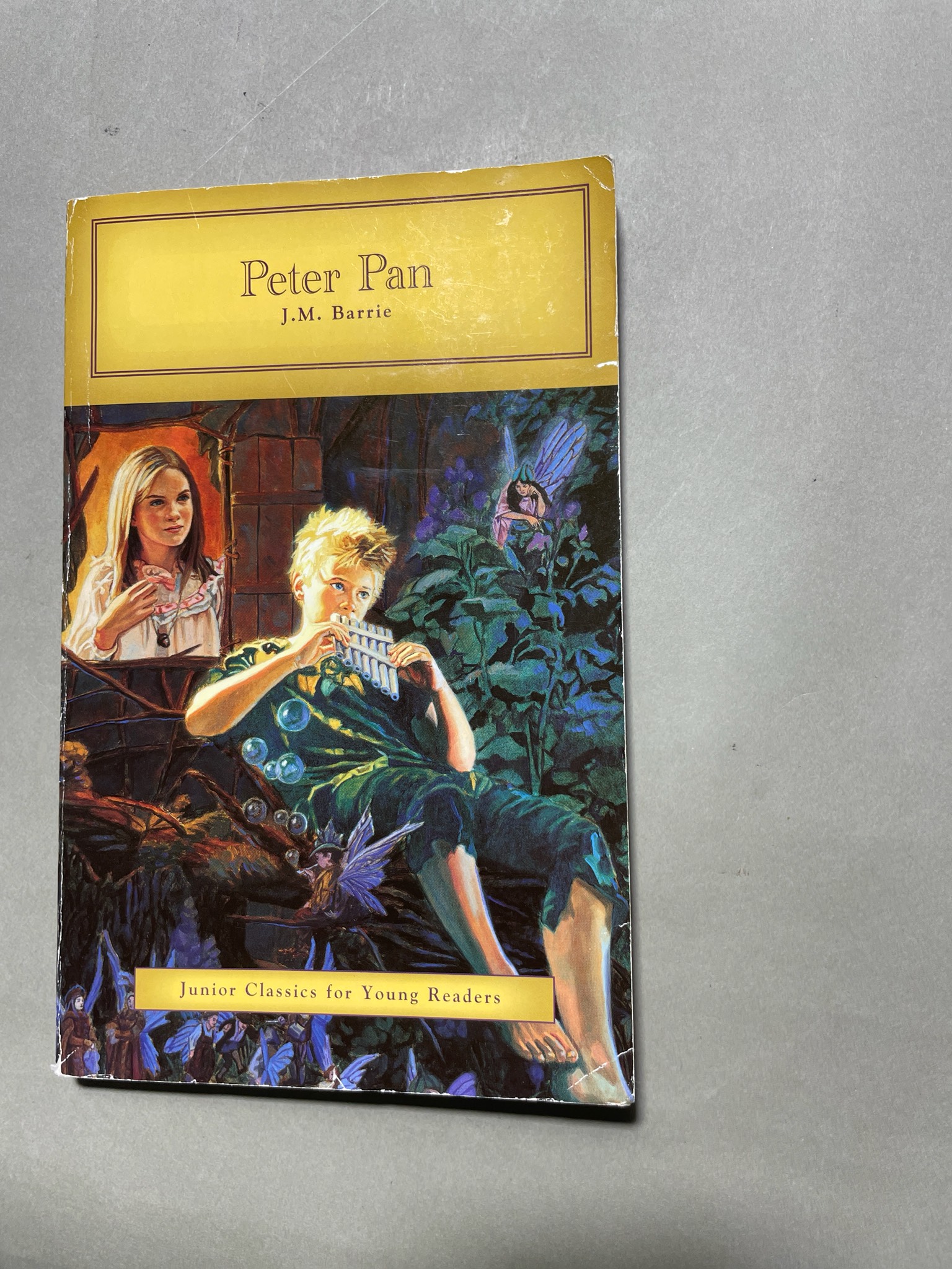 Creative Edge Peter Pan Illustrated Book