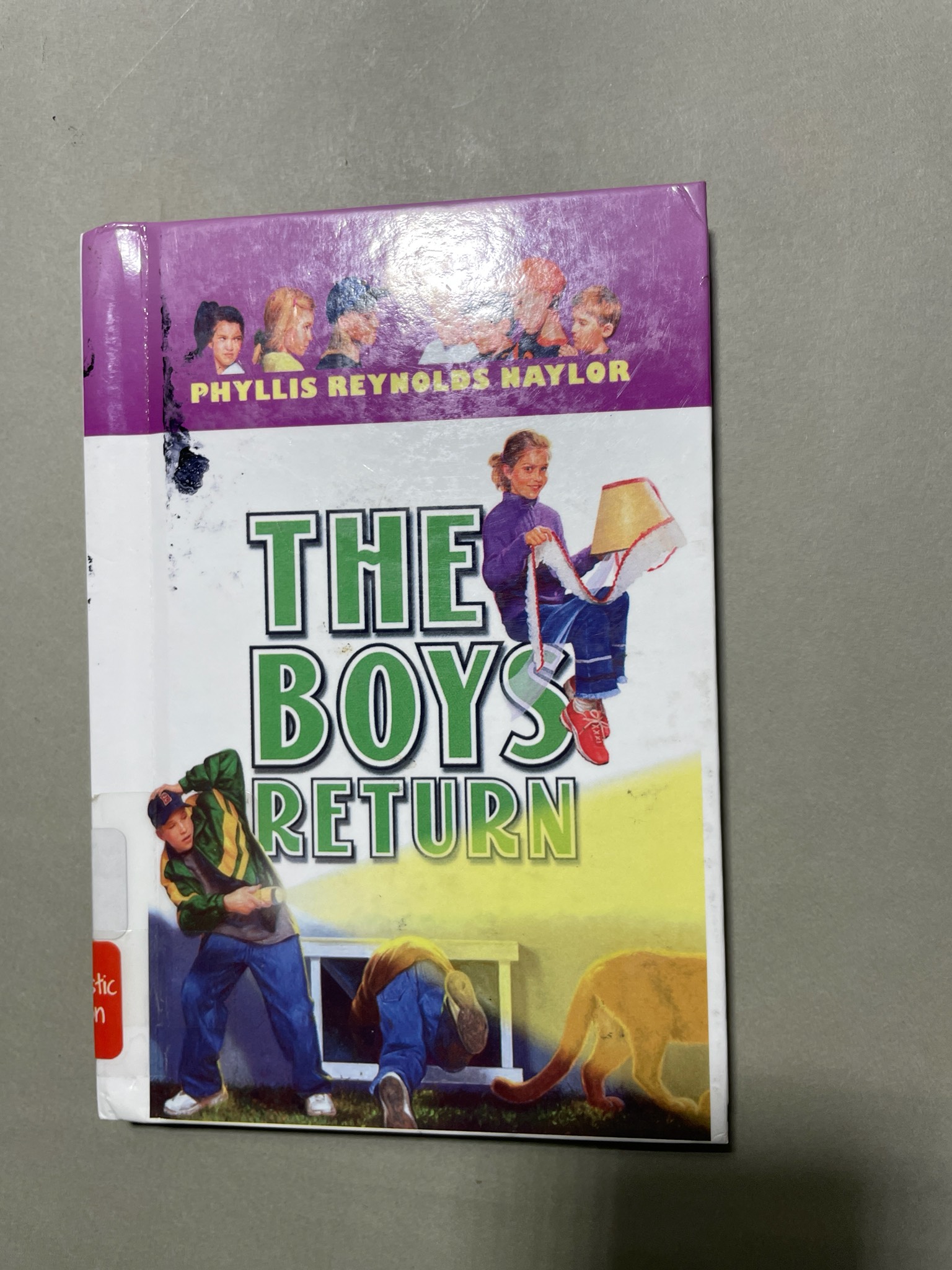 FollettBound Children's Book - The Boys Return