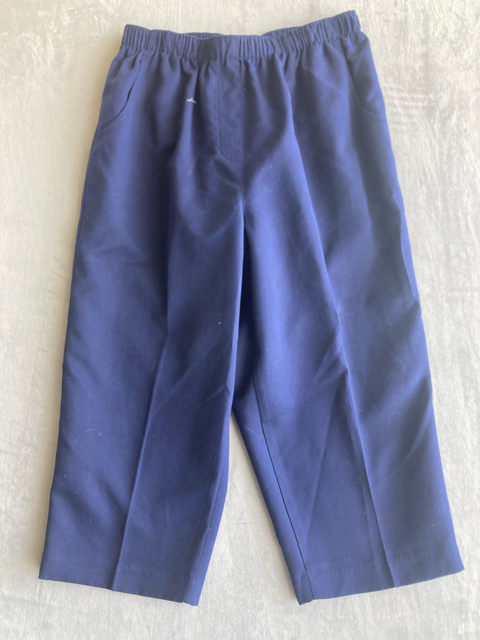 Kim Rogers Navy Polyester Pull-On Pants Size 10P