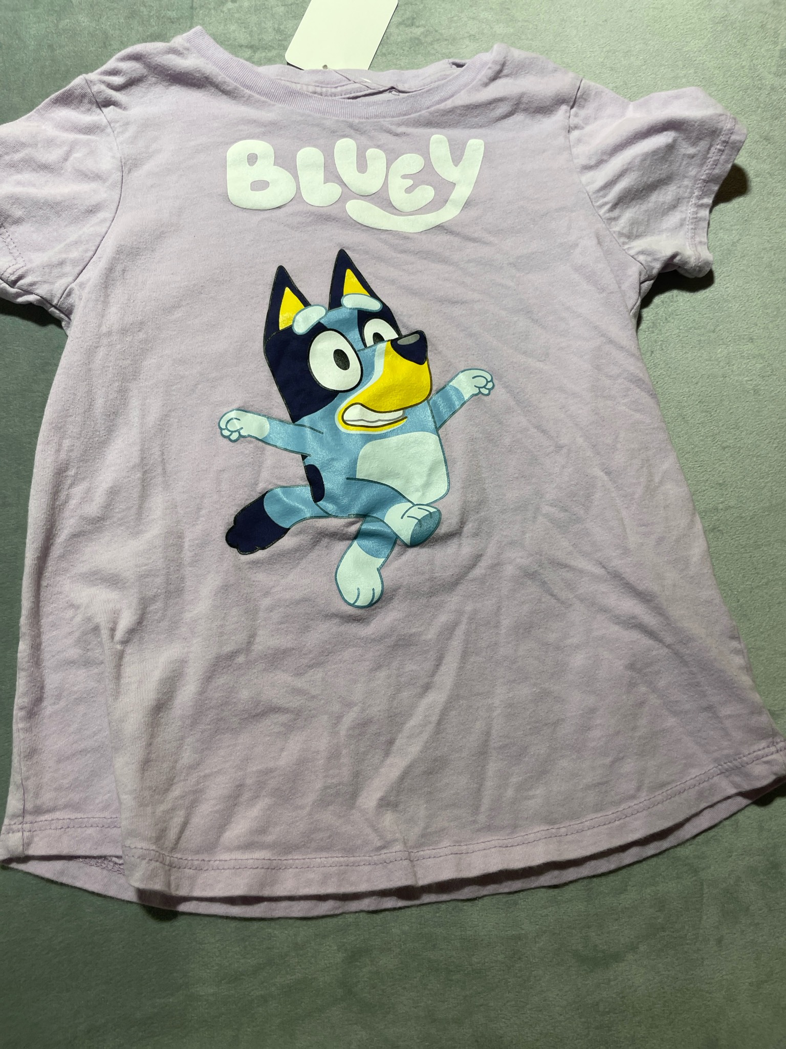 Bluey Light Purple Graphic T-Shirt Size 6X