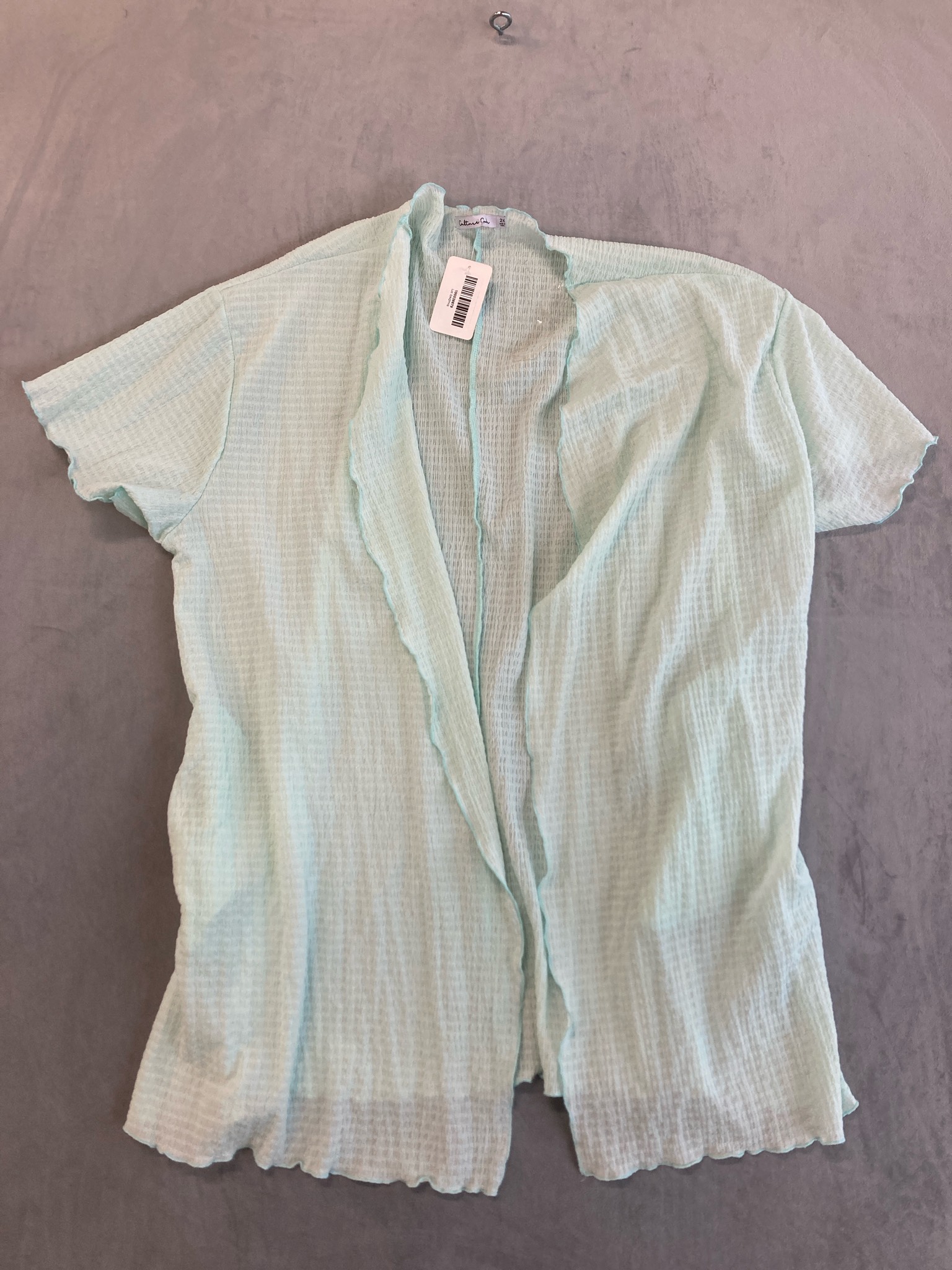 Cultured Code Mint Green Gauzy Blouse Size 2X