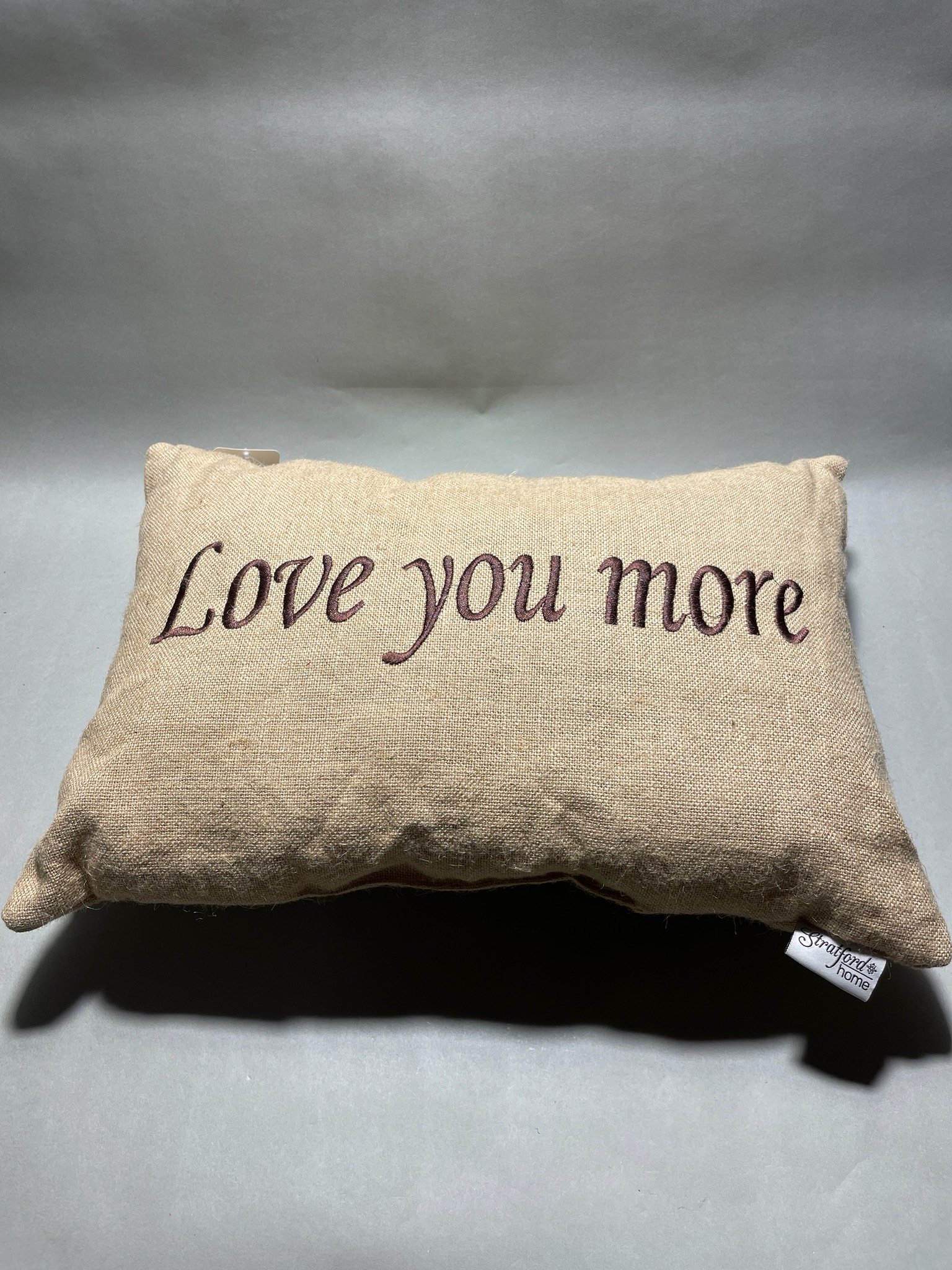 Beige Embroidered Decorative Pillow
