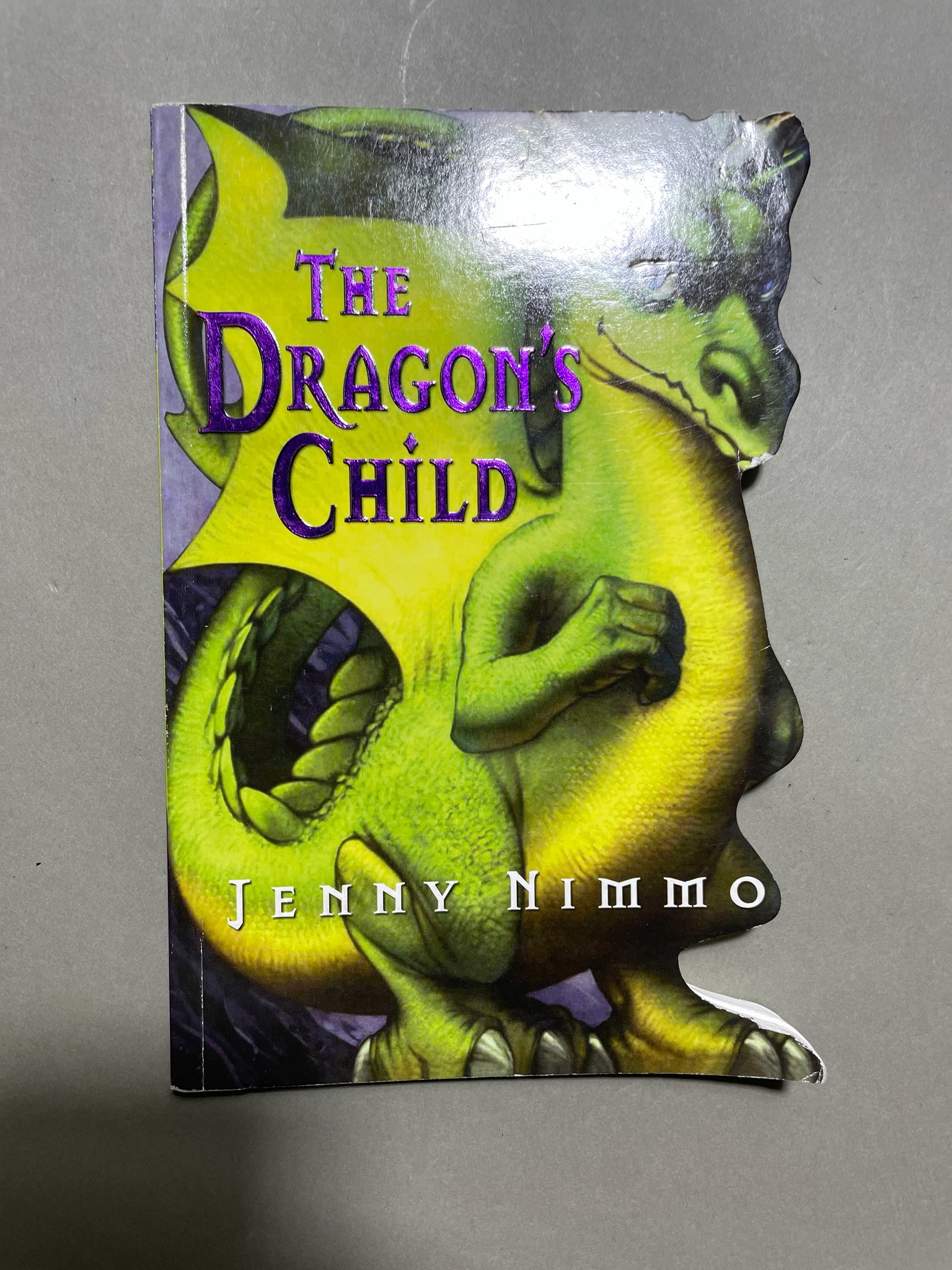 Scholastic Green Dragon Fantasy Children's Book