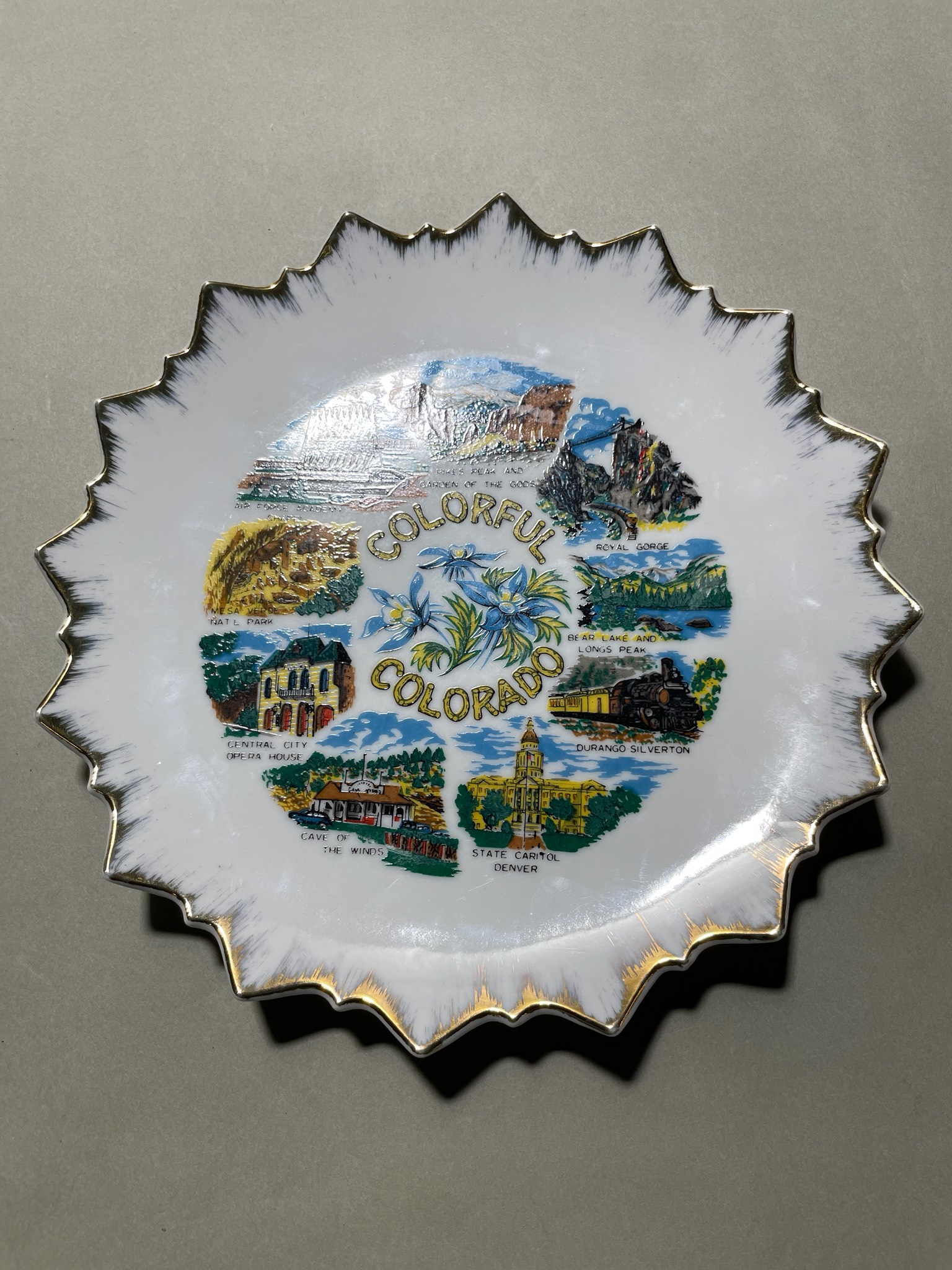 Colorful Scalloped Edge Decorative Plate