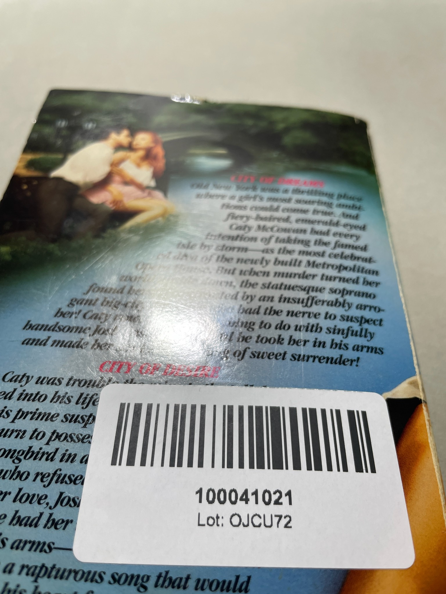 Pink Blue Paperback Romance Novel