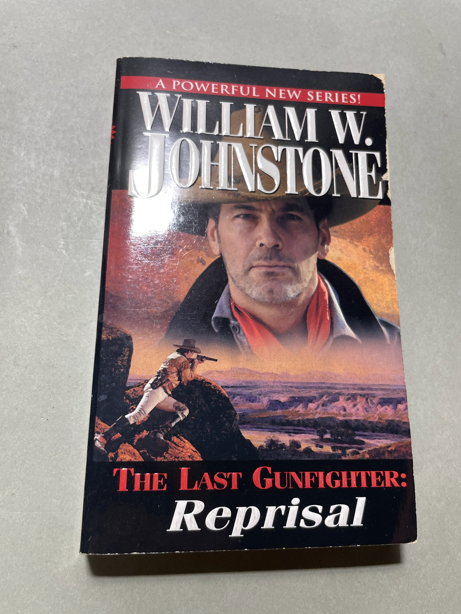 William W. Johnstone Reprisal Paperback