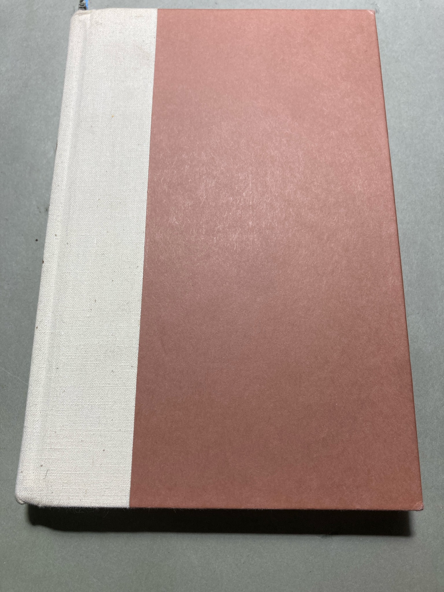 Olivia's Angels Book