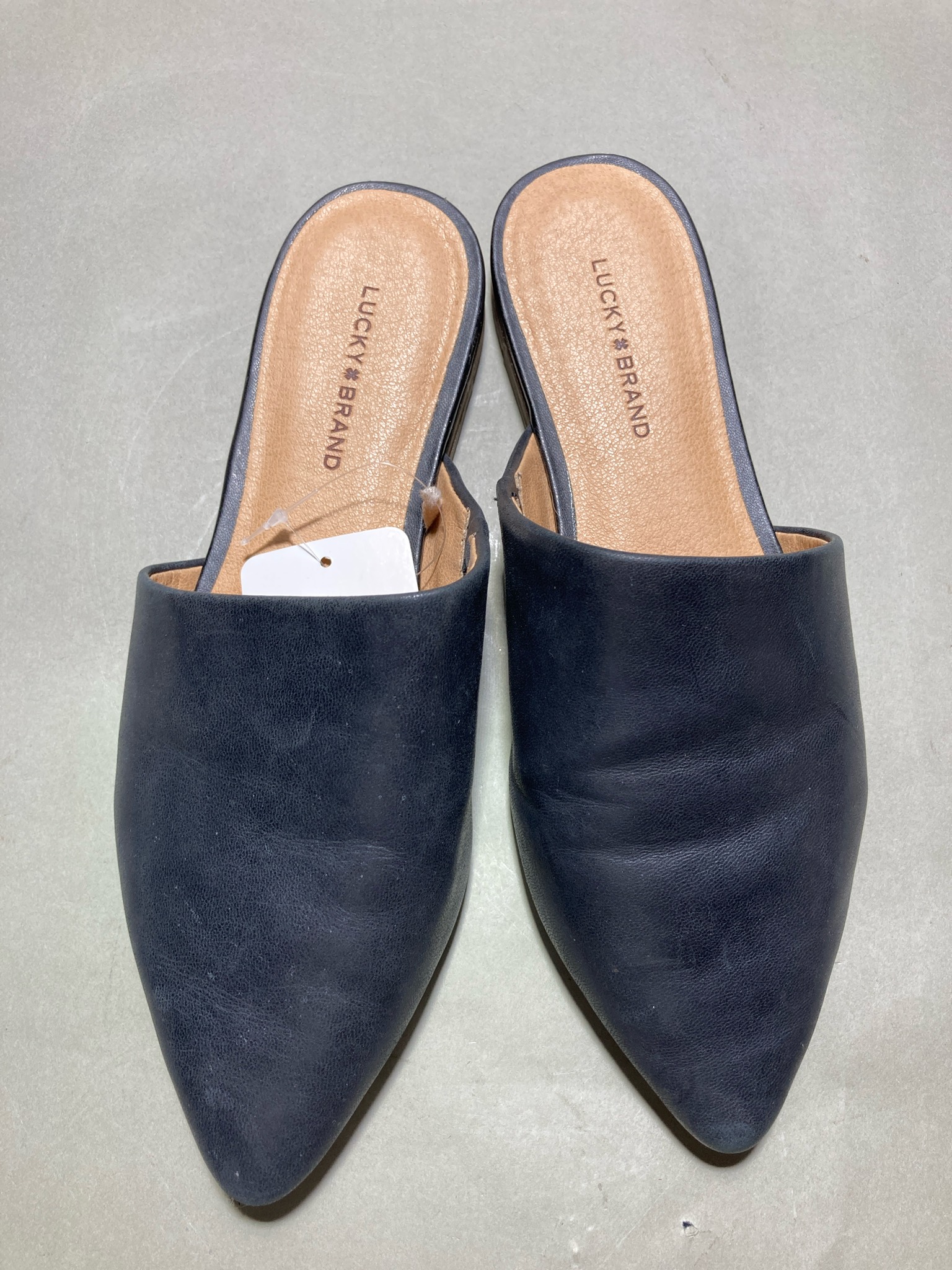 Lucky Brand Dark Navy Pointed-Toe Mules