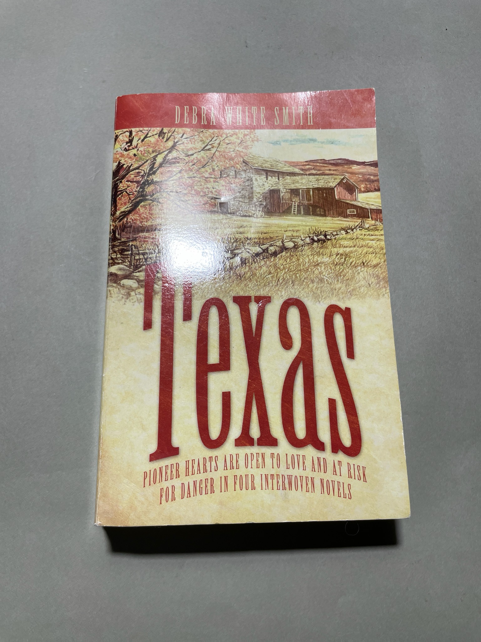 Debra White Smith Paperback Novel