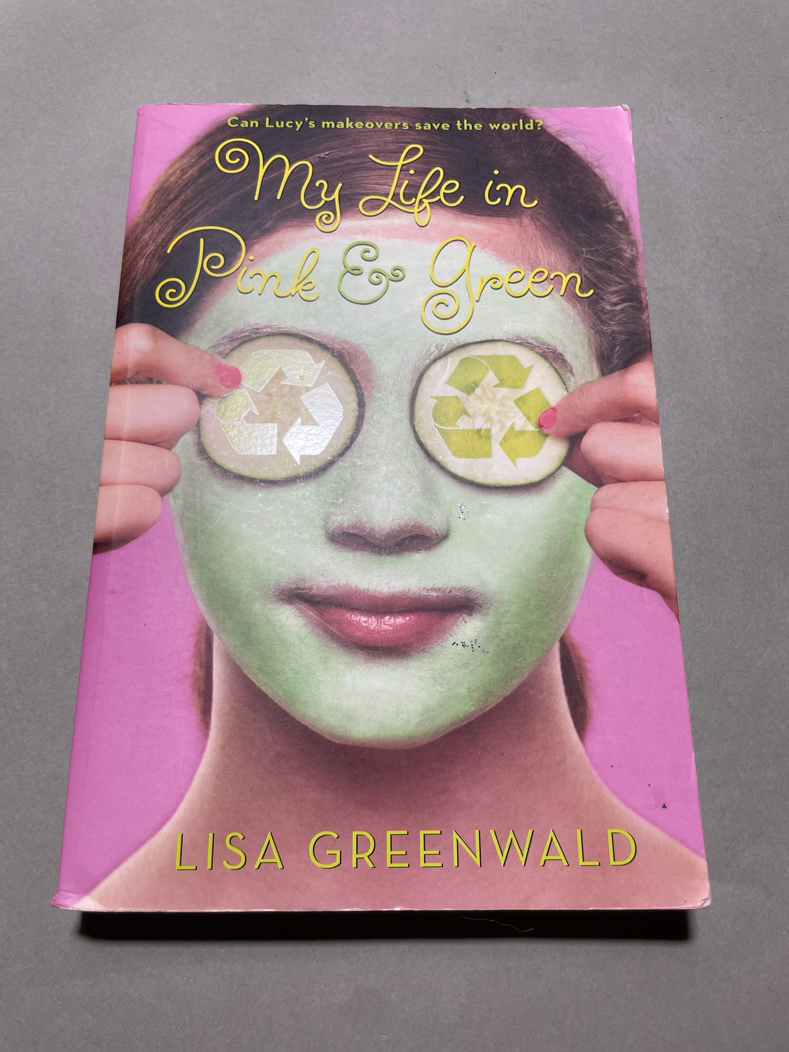 Amulet Books My Life in Pink & Green Paperback