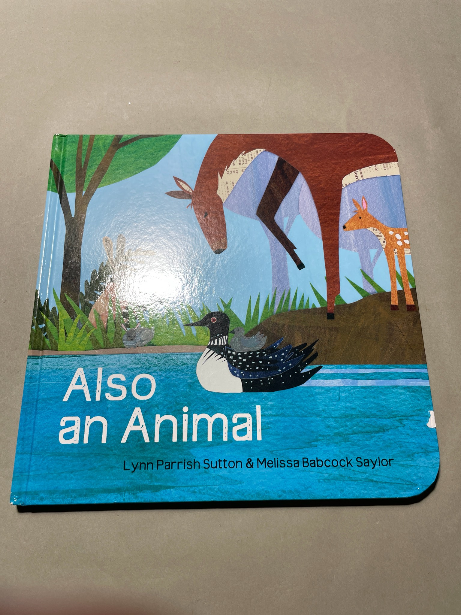 Kane Miller Also an Animal Board Book