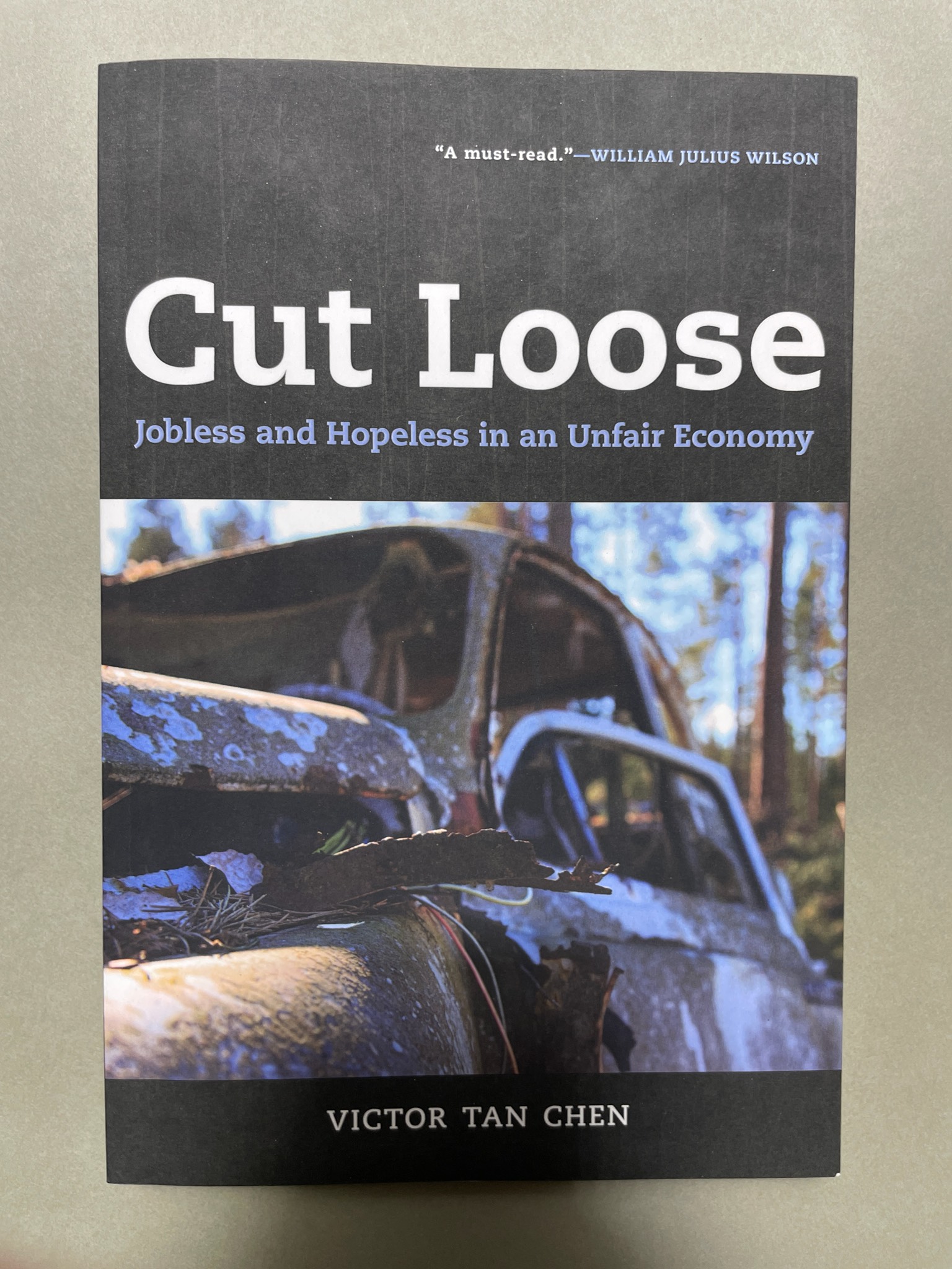 University of California Press Cut Loose Jobless and Hopeless in an Unfair Economy Paperback