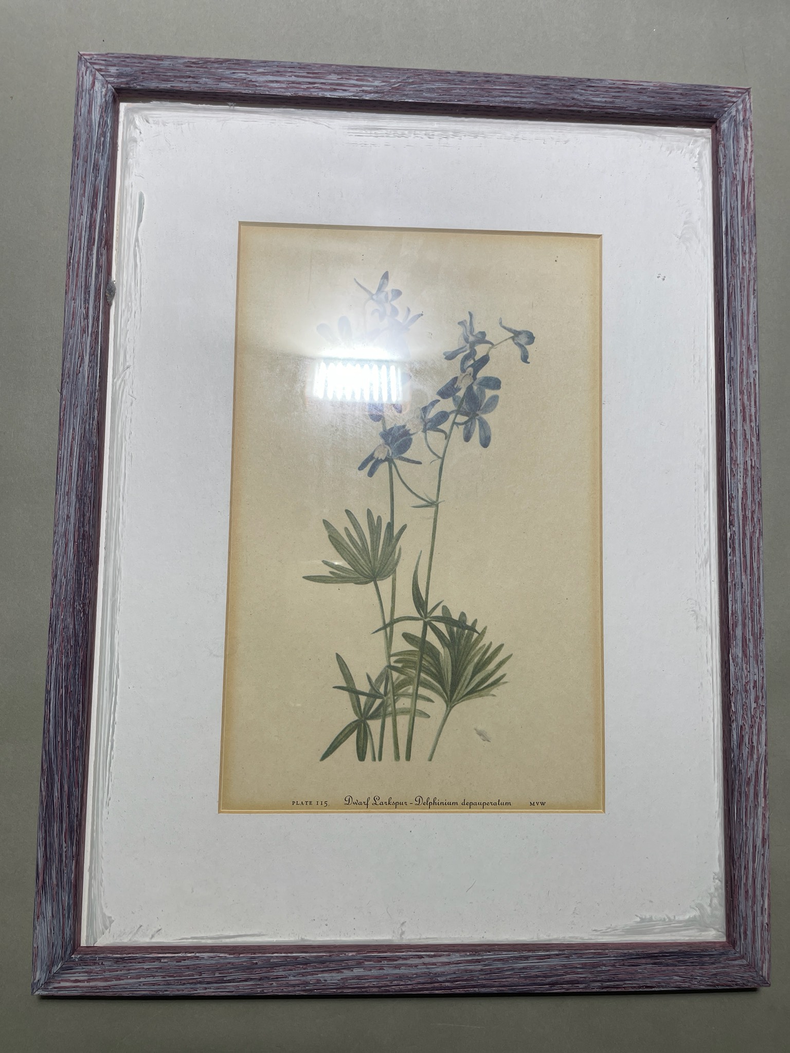 Purple-Gray Matted Framed Botanical Print