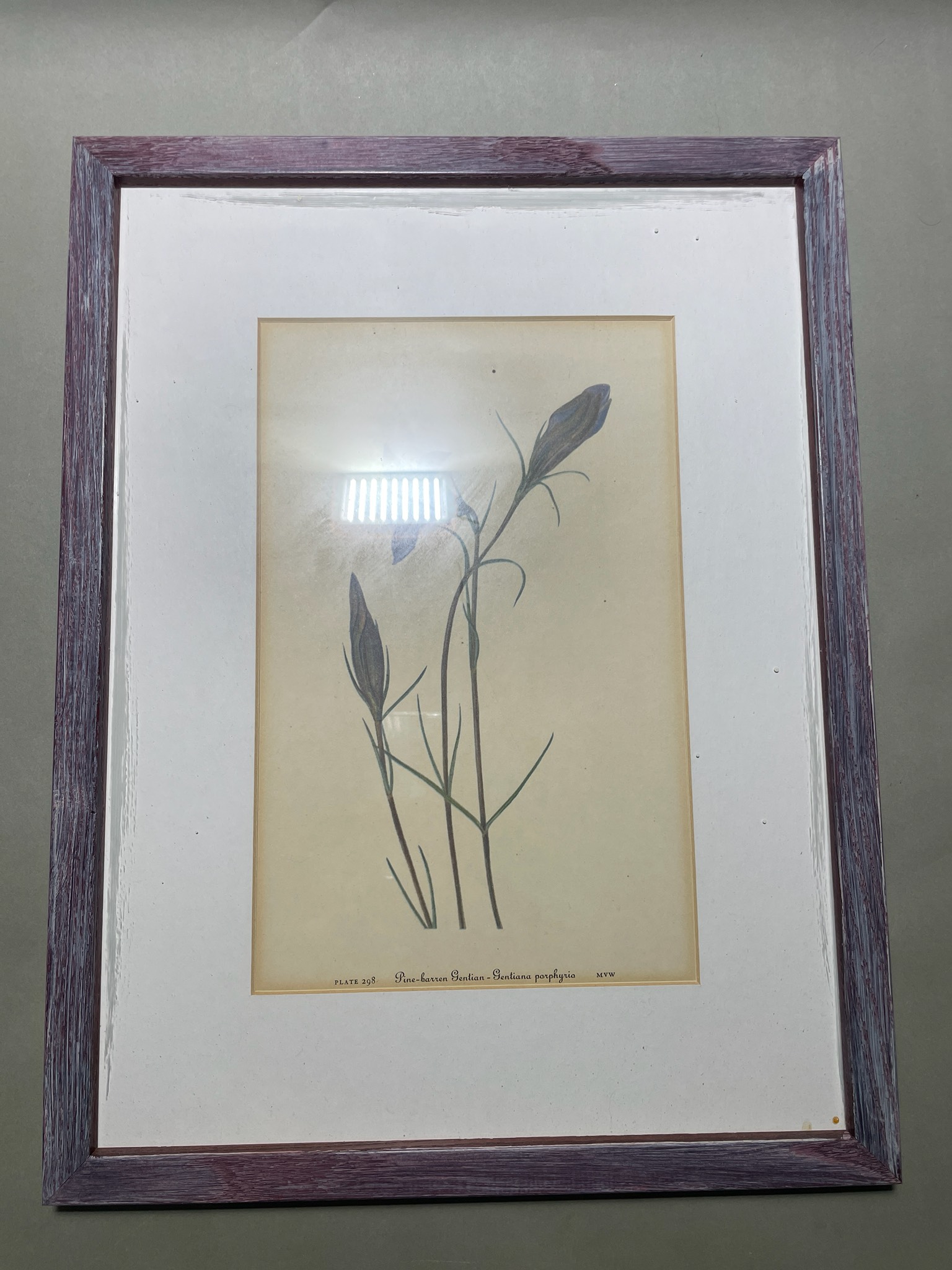 Purple-Brown Framed Botanical Print