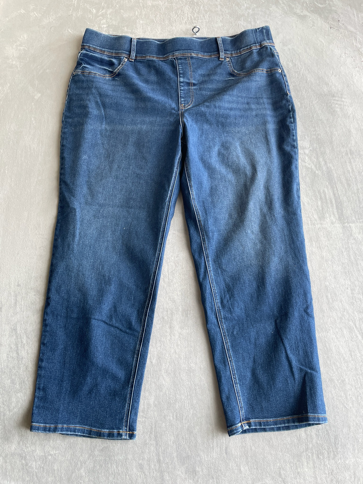 Terra & Sky Medium Blue Denim Jeans Size 2X (20W-22W)