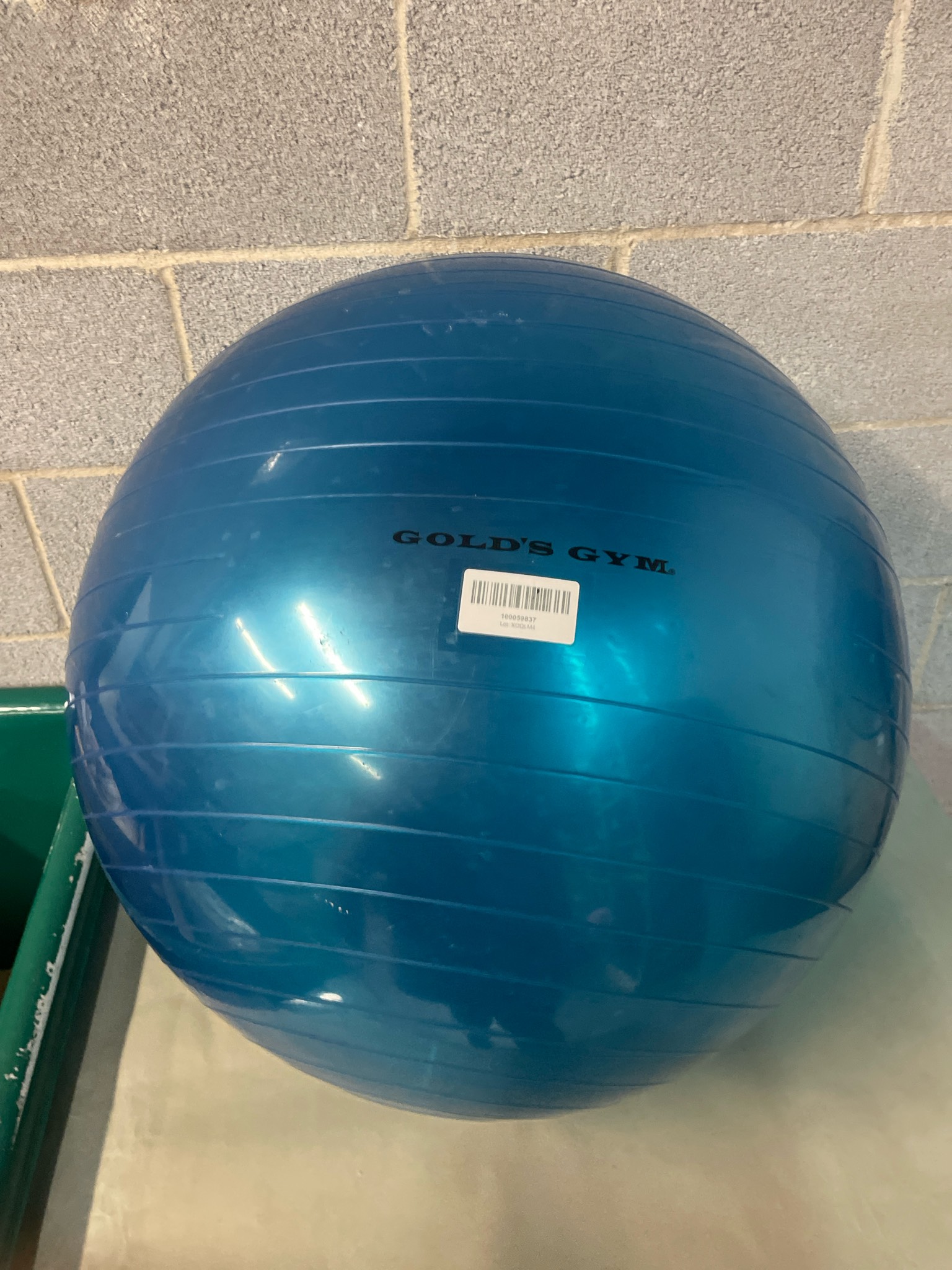 Gold's Gym Blue Exercise Ball
