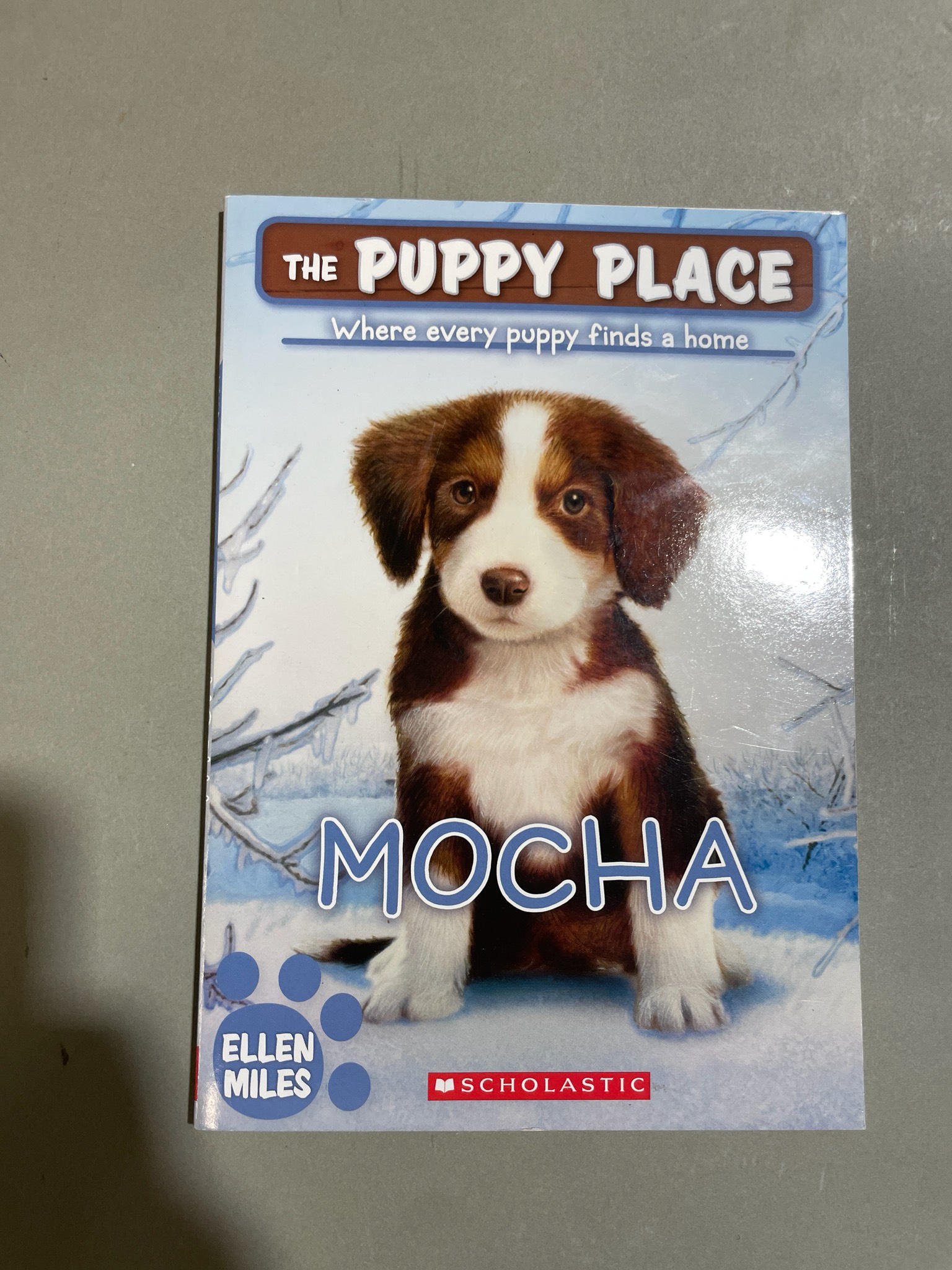 Scholastic Mocha Paperback
