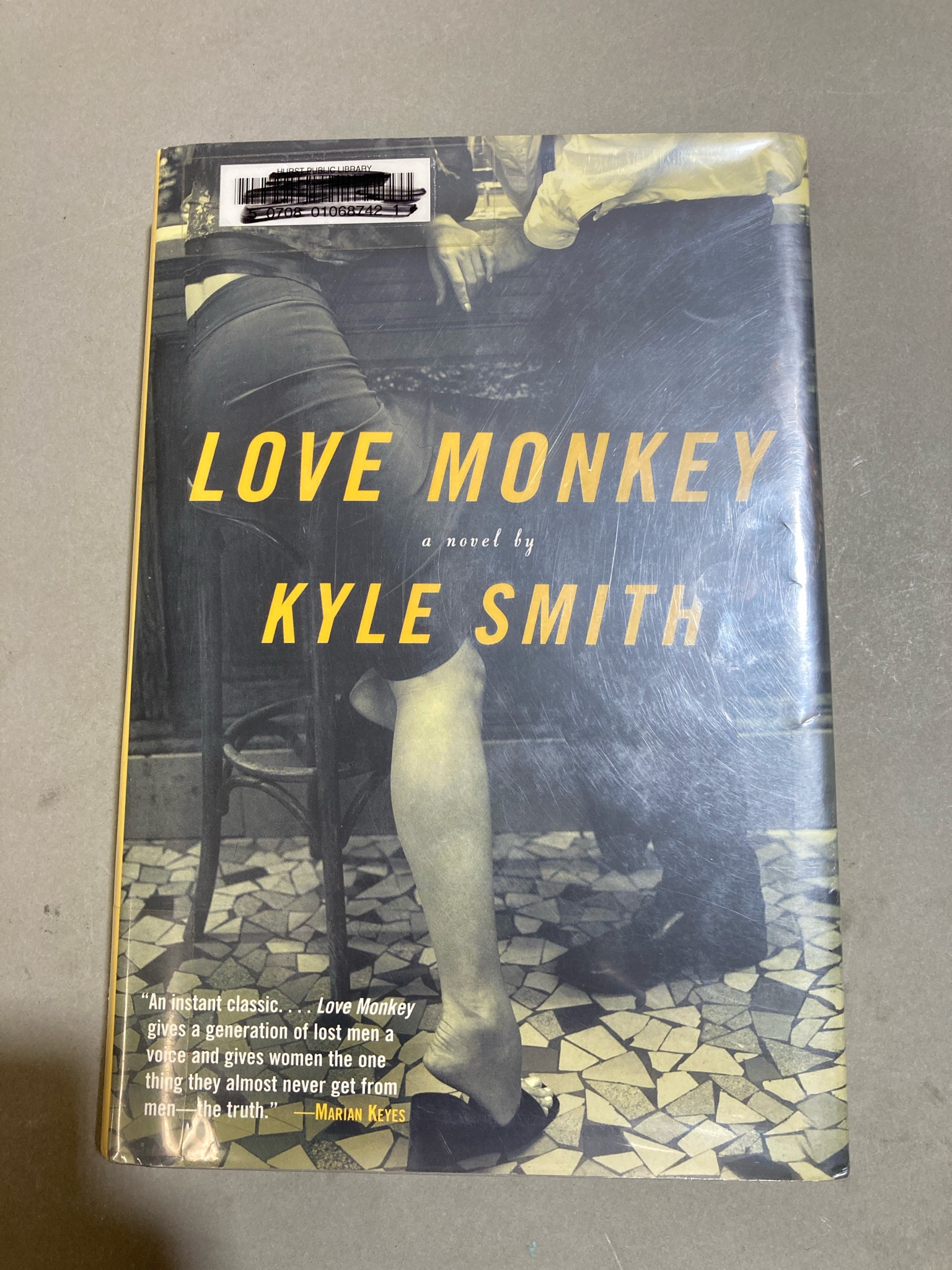 Love Monkey Novel