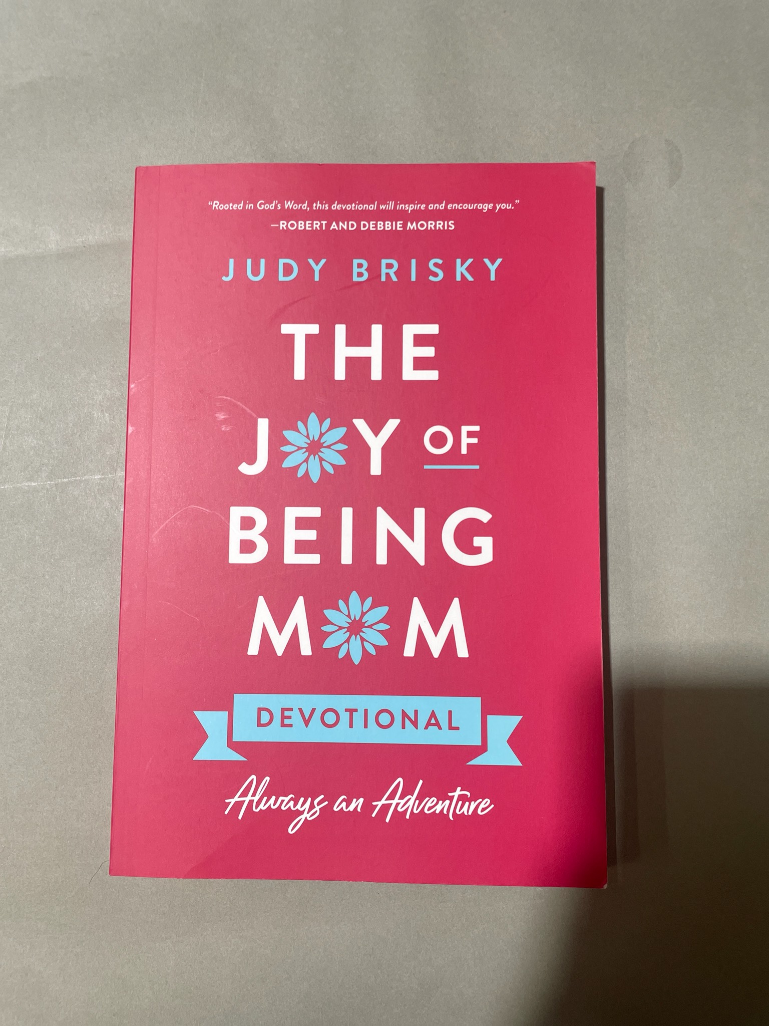 Judy Brisky The Joy of Being Mom Devotional