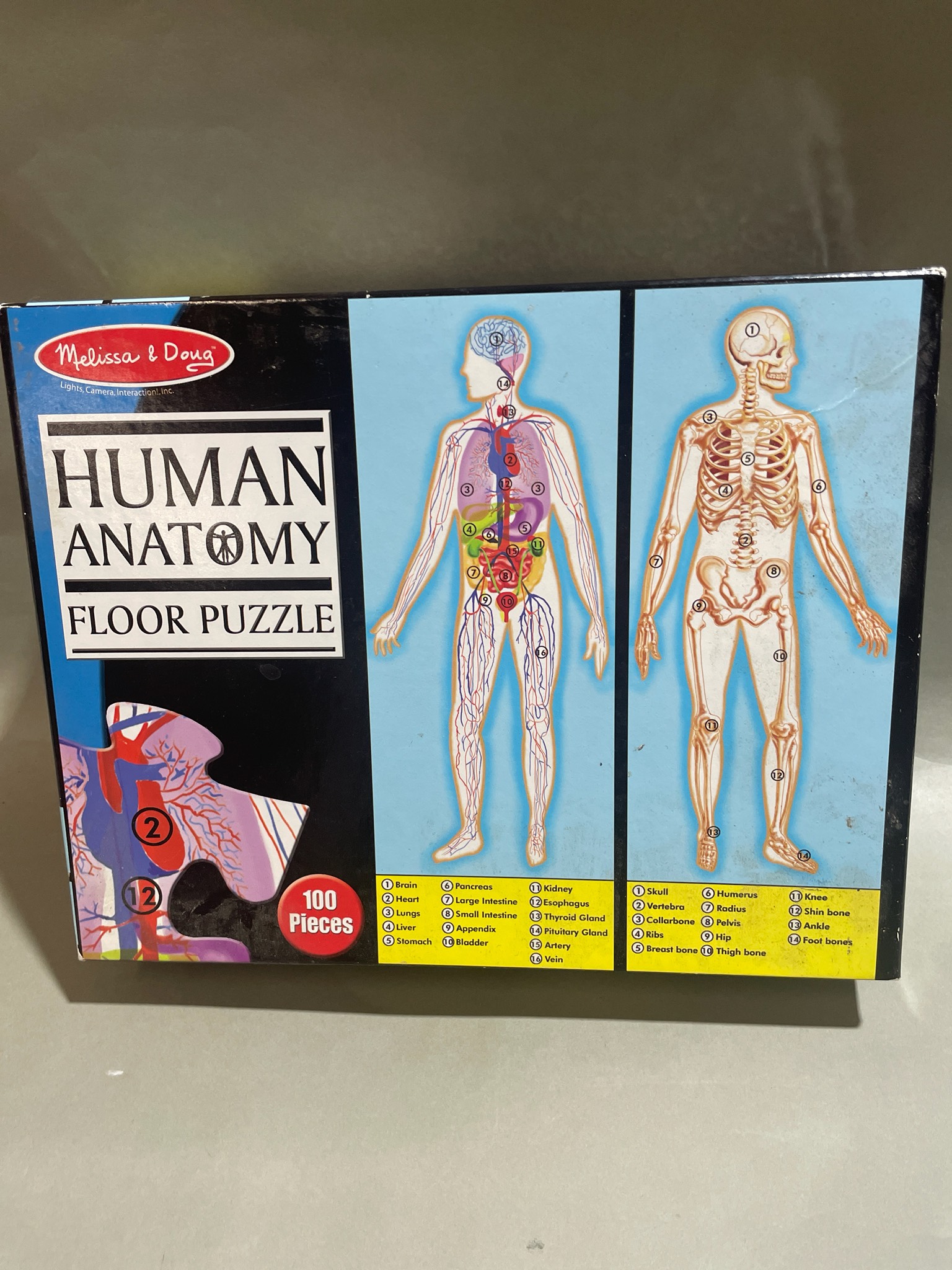 Melissa & Doug Blue Extra Large Human Anatomy Floor Puzzle Size 100 Pieces