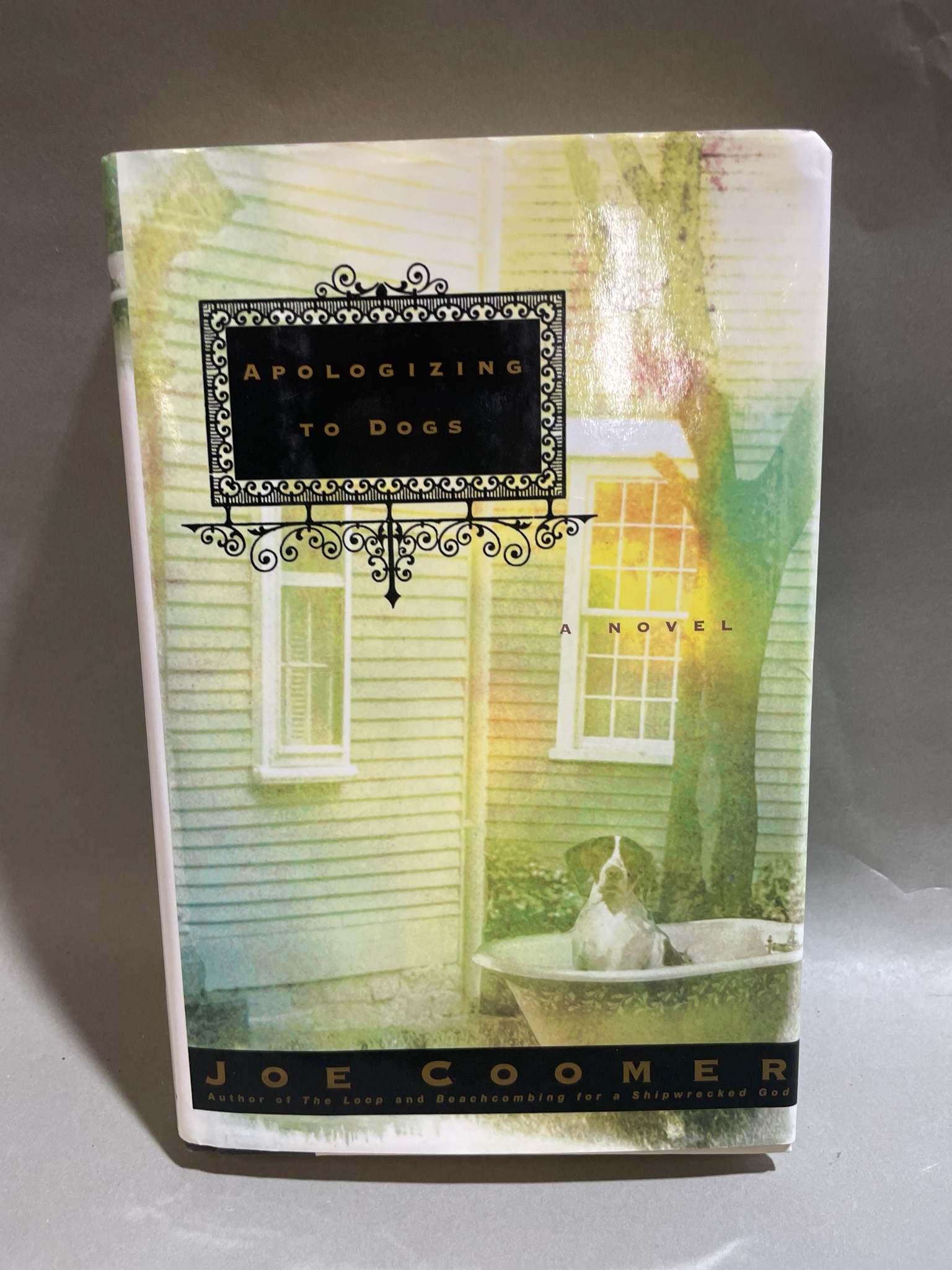 Rhythm and Co Books Apologizing to Dogs Hardcover