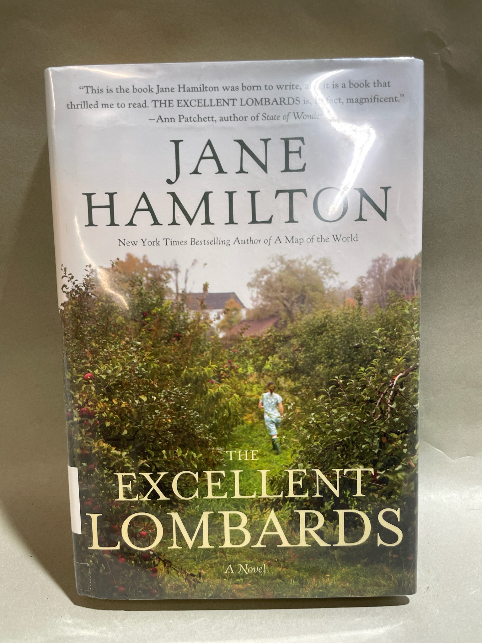 Jane Hamilton The Excellent Lombards