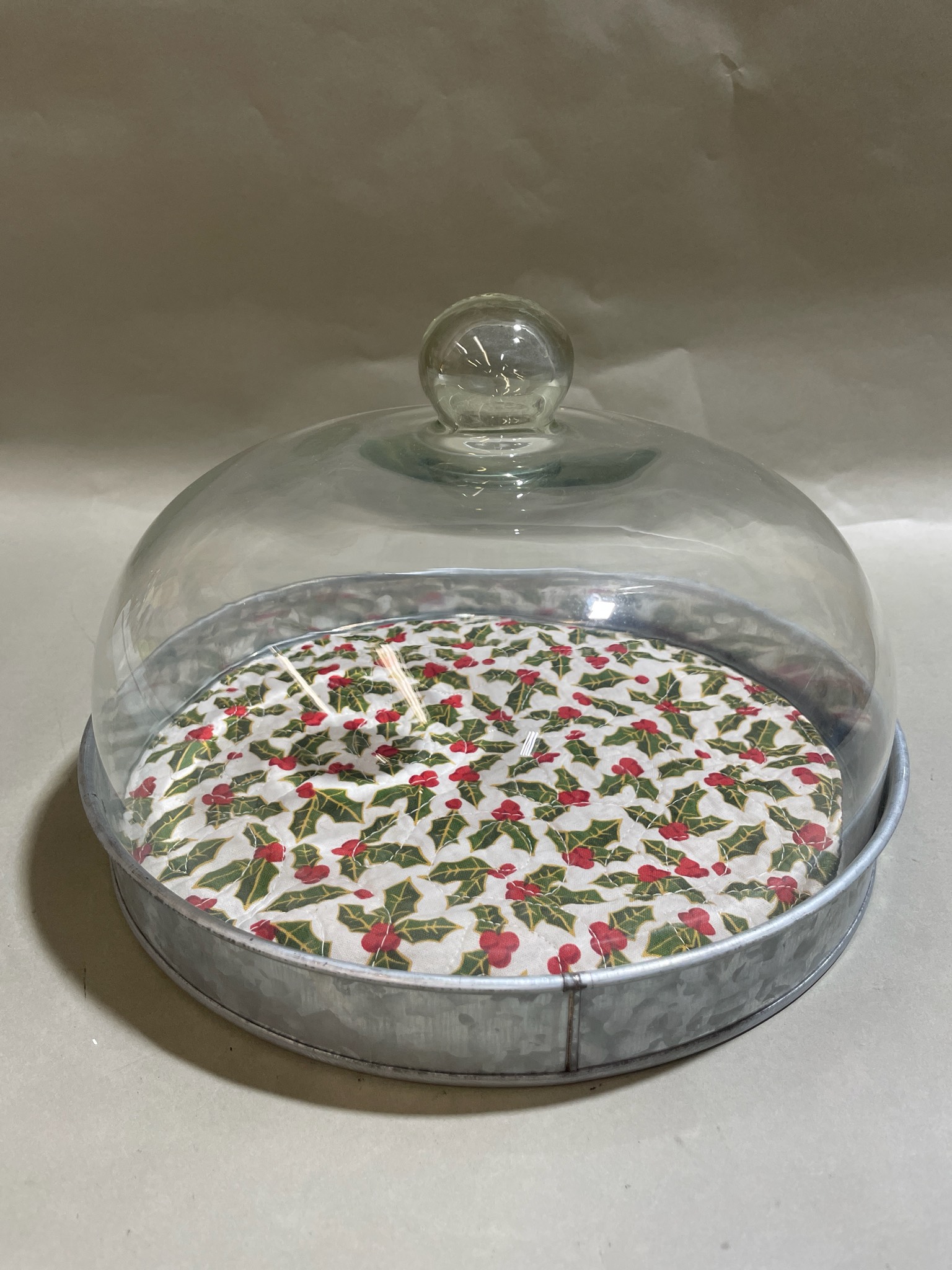 Silver Galvanized Tray with Clear Glass Dome