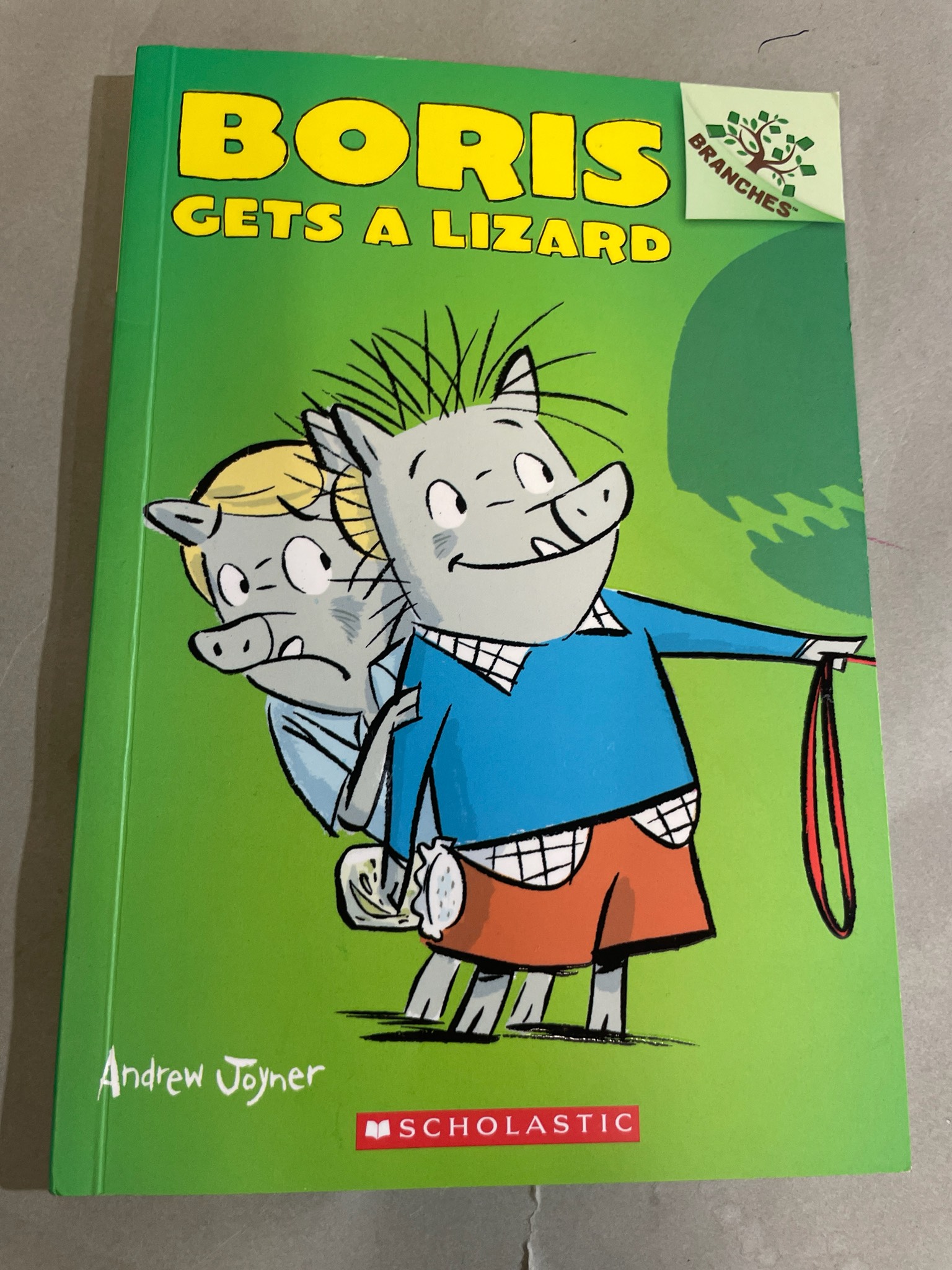 Scholastic Boris Gets a Lizard Paperback