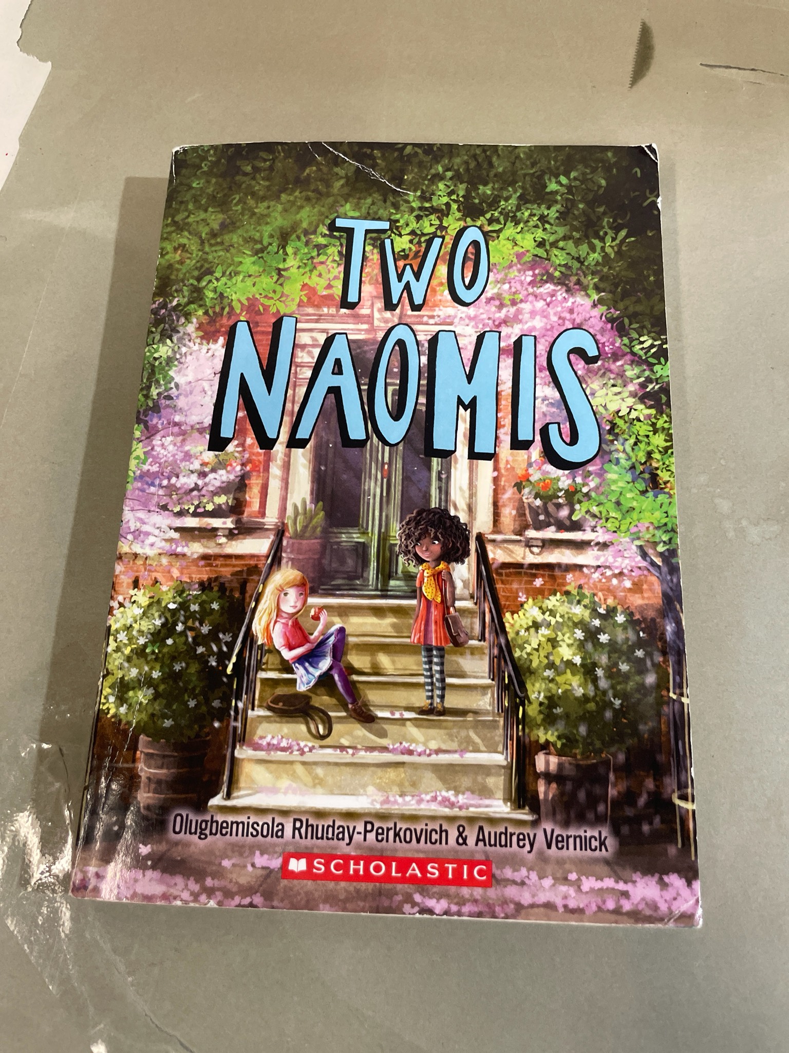 Scholastic Two Naomis