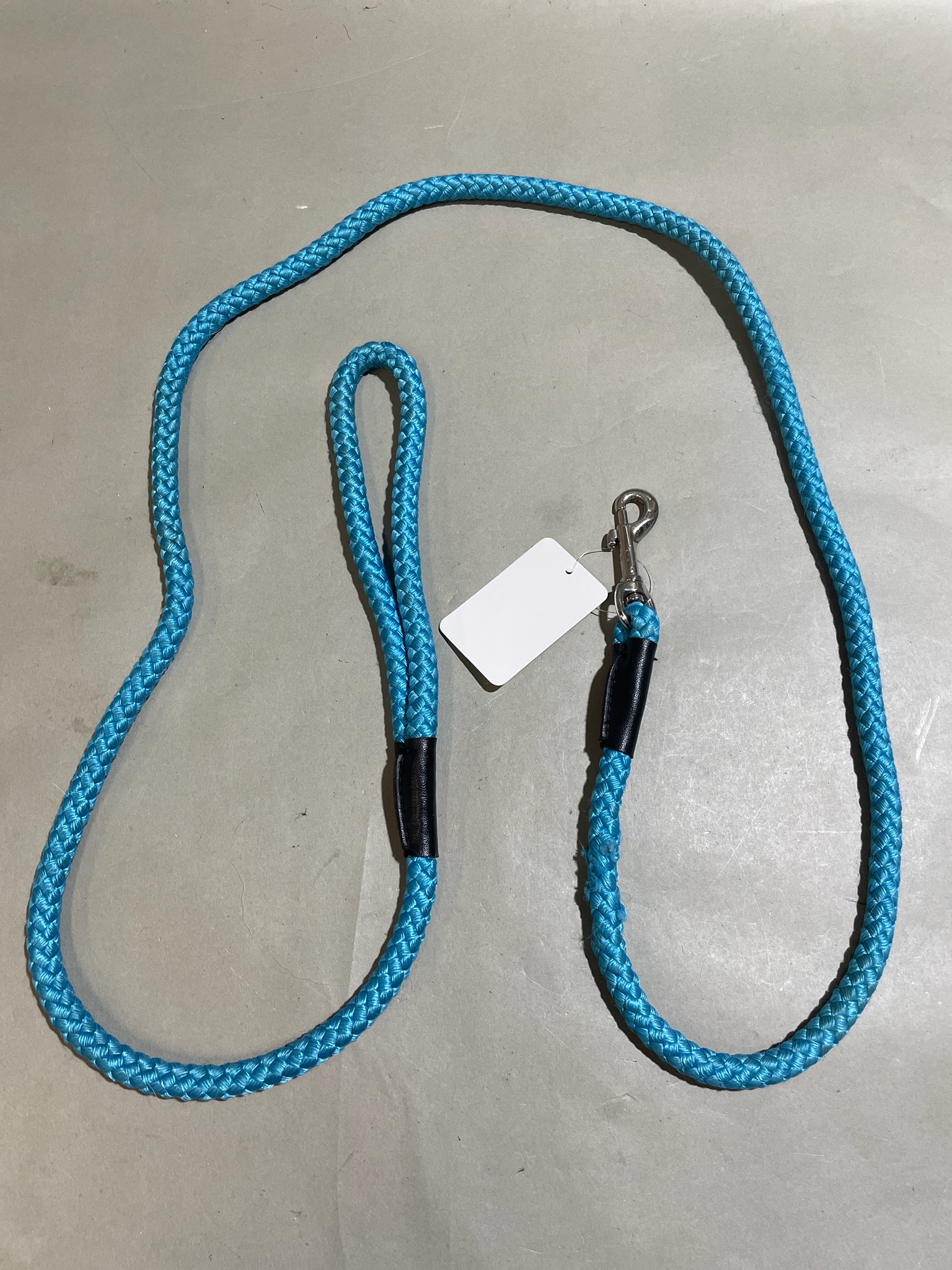 Turquoise Braided Rope Leash