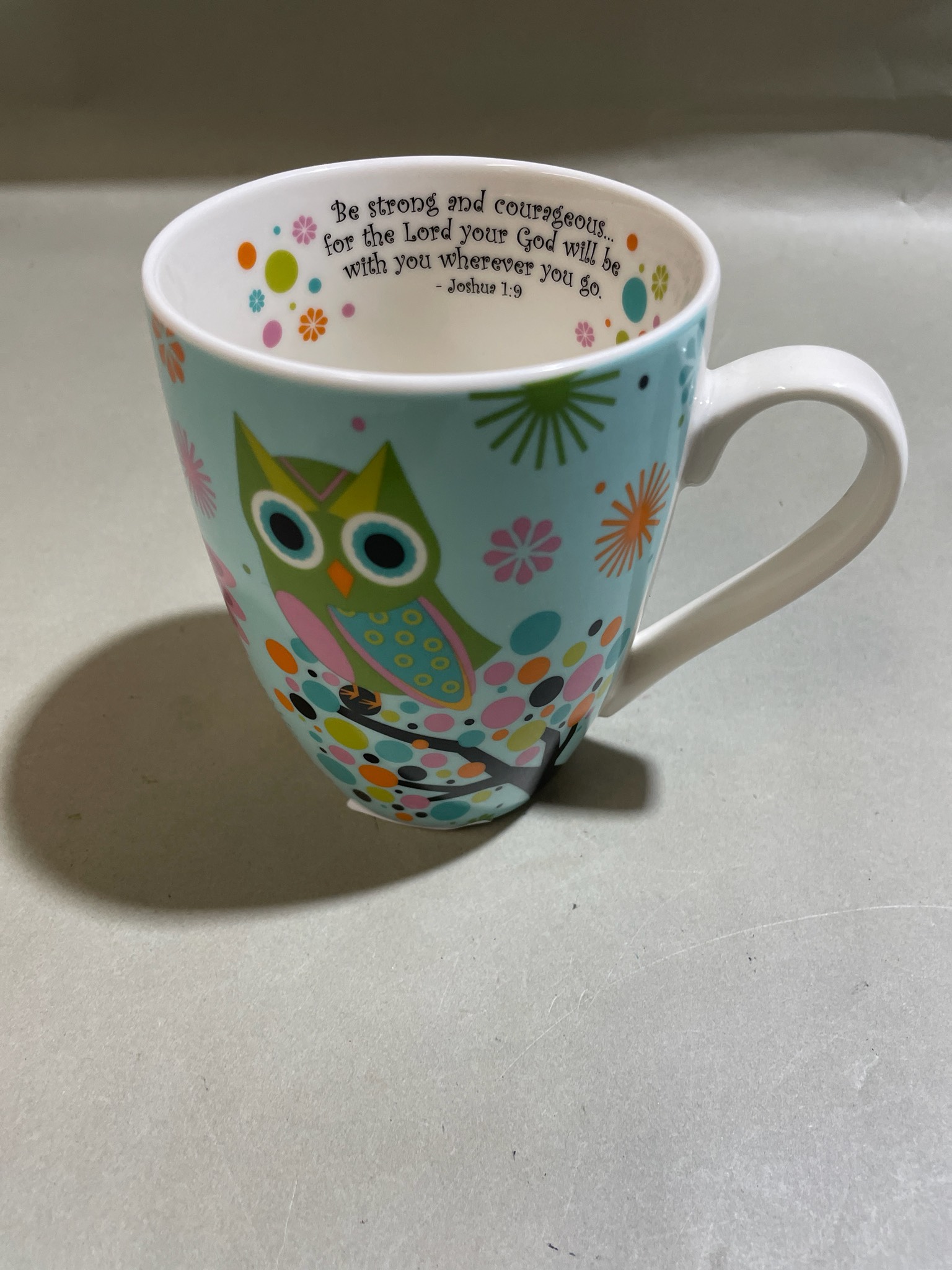 Aqua Owl Ceramic Mug