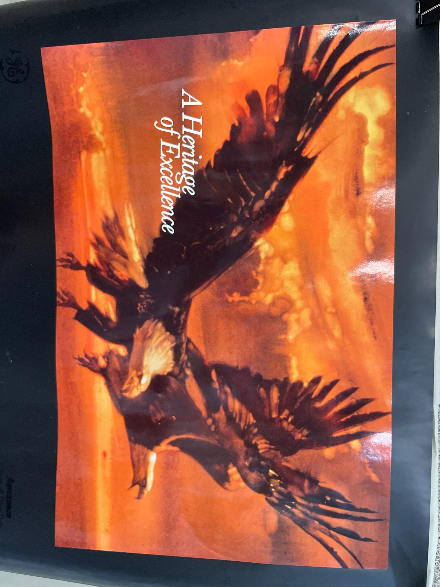 GE Orange Black Eagle Poster