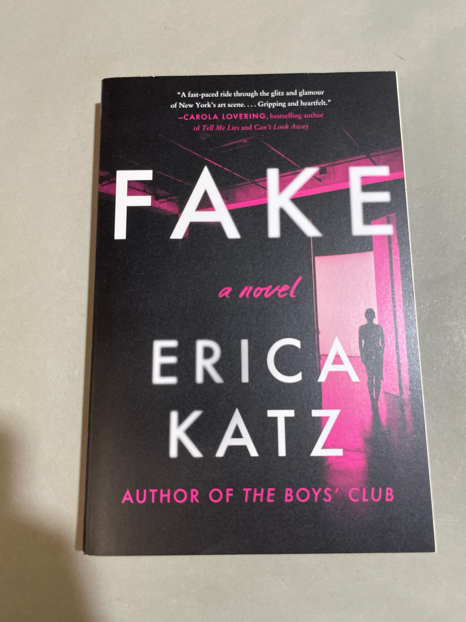 Erica Katz Fake Paperback