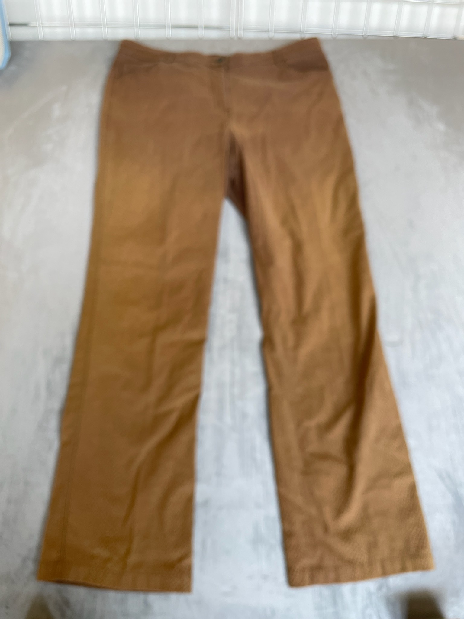 MULTIPLES Brown Woven Pants Size Size 16