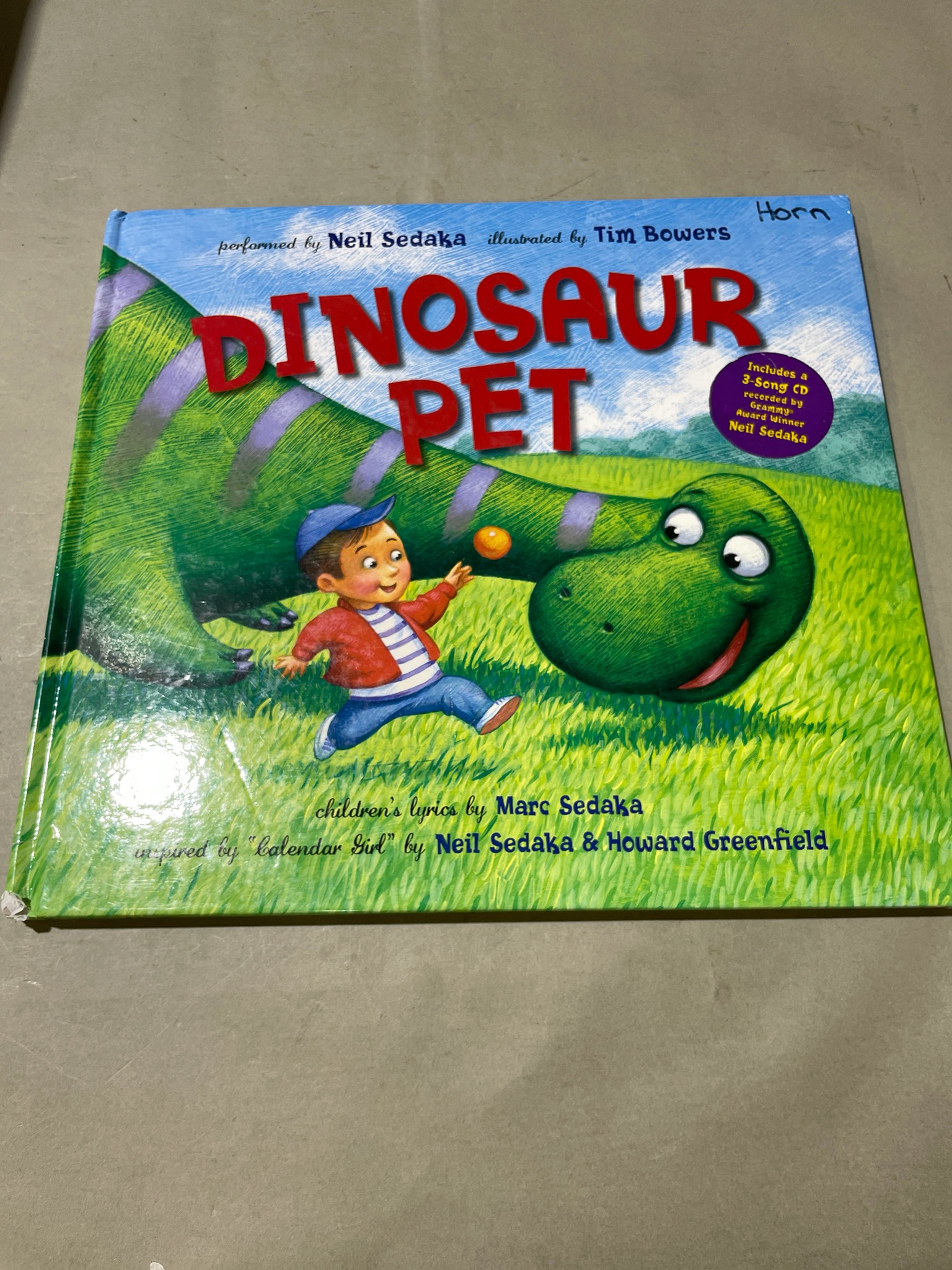 Dinosaur Pet Illustrated Picture Book