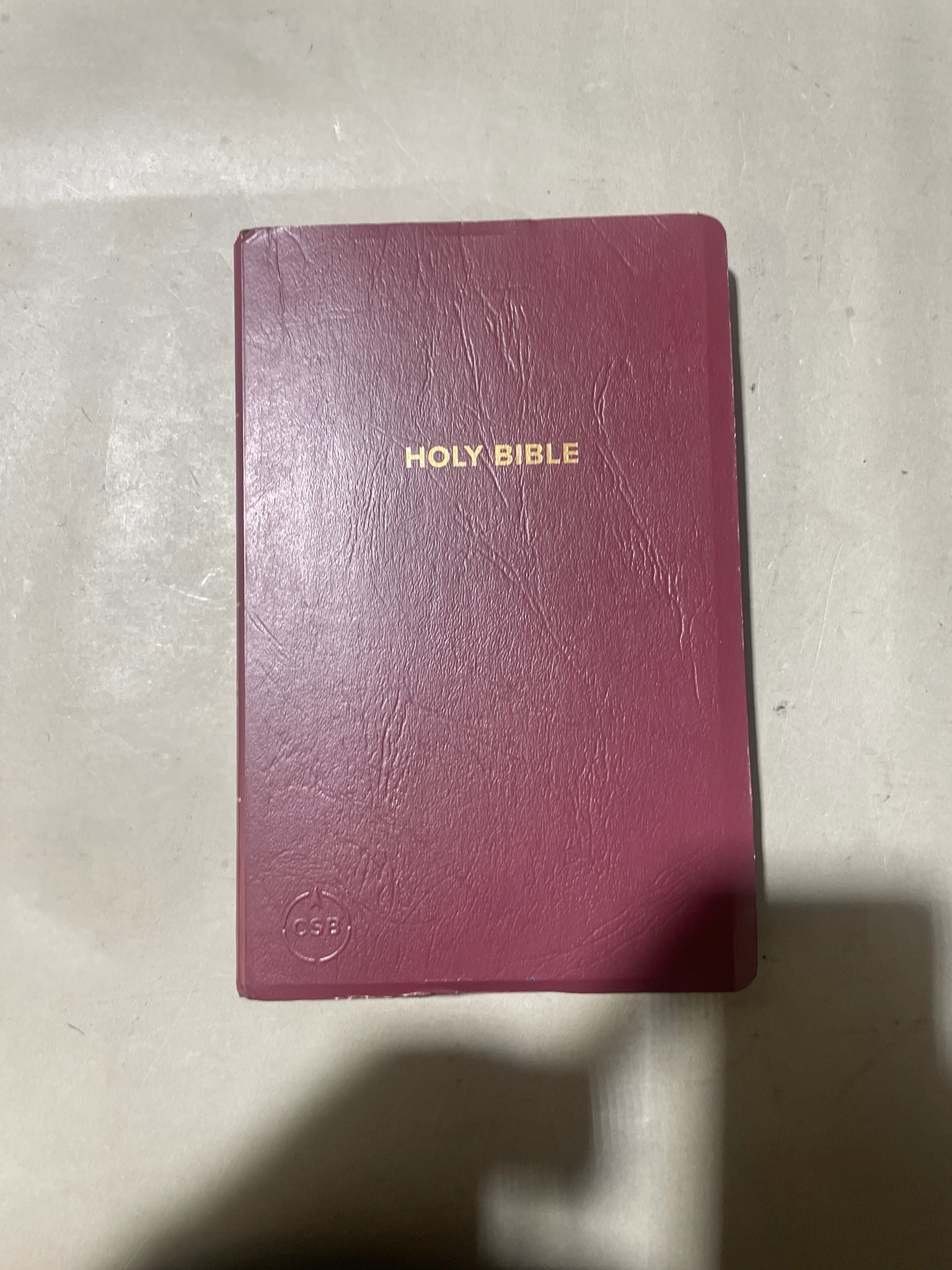 Burgundy Textured Bible