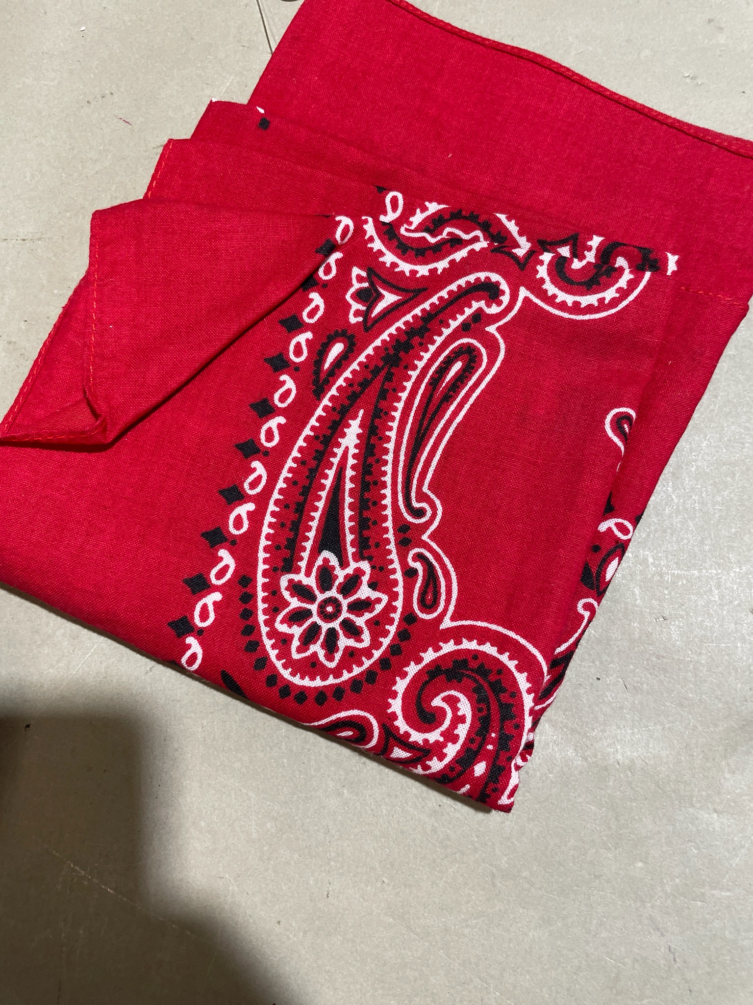 Red Paisley Bandana