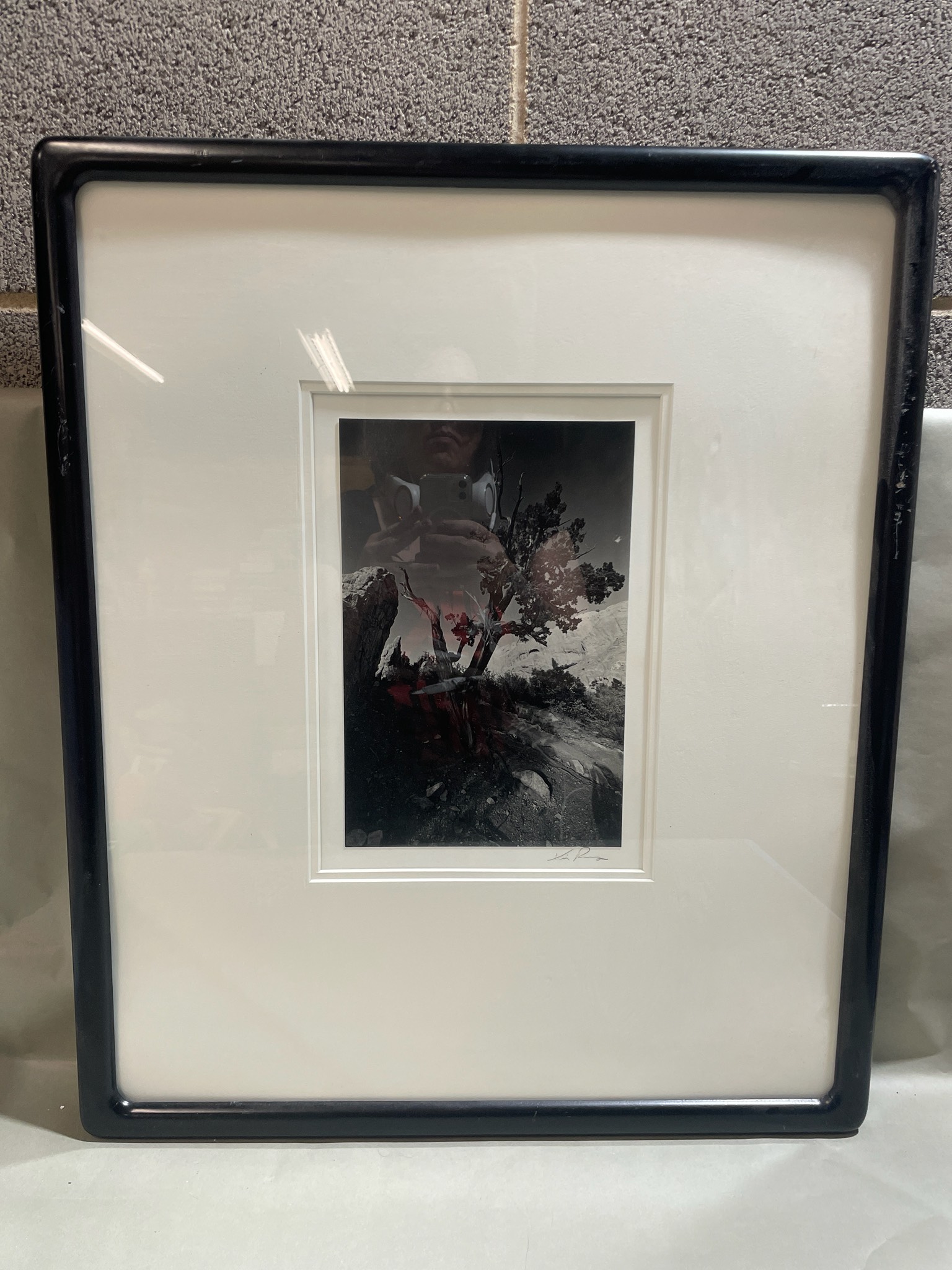 Black Framed Photographic Print