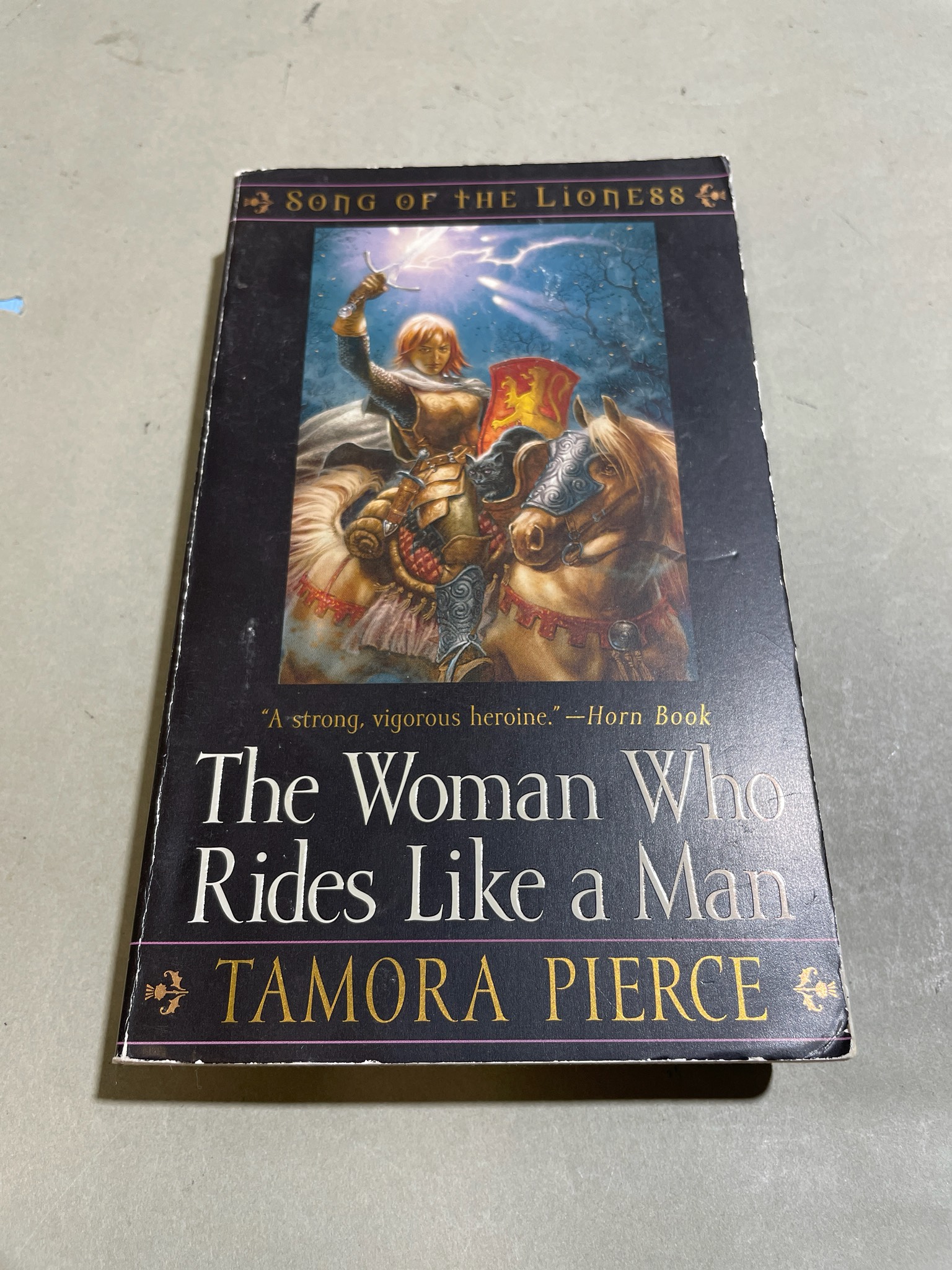 The Woman Who Rides Like a Man Fantasy Novel