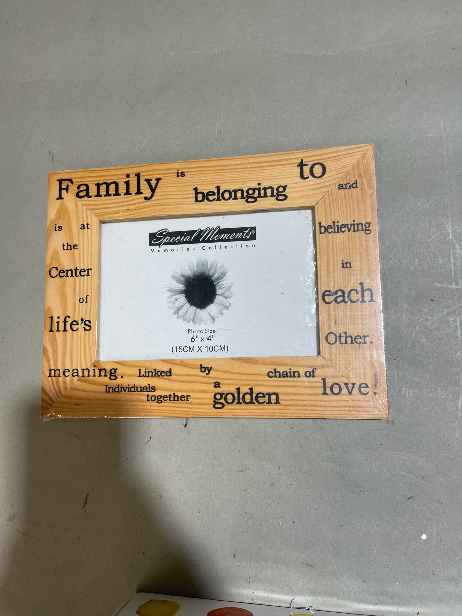 Special Moments Light Brown Wood Look 4 x 6 Photo Frame Size 4 x 6
