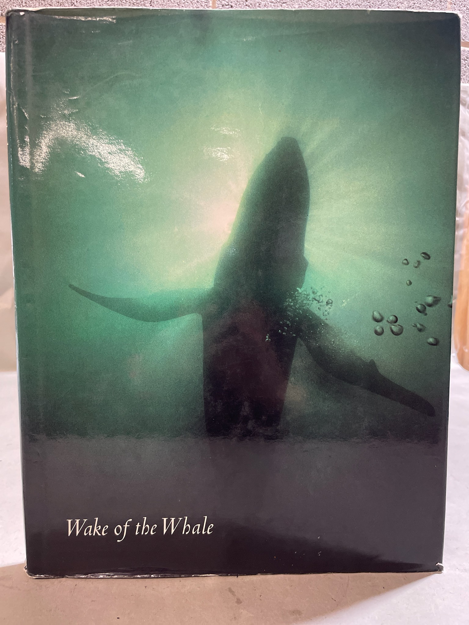 E.P. Dutton Wake of the Whale Nature Book